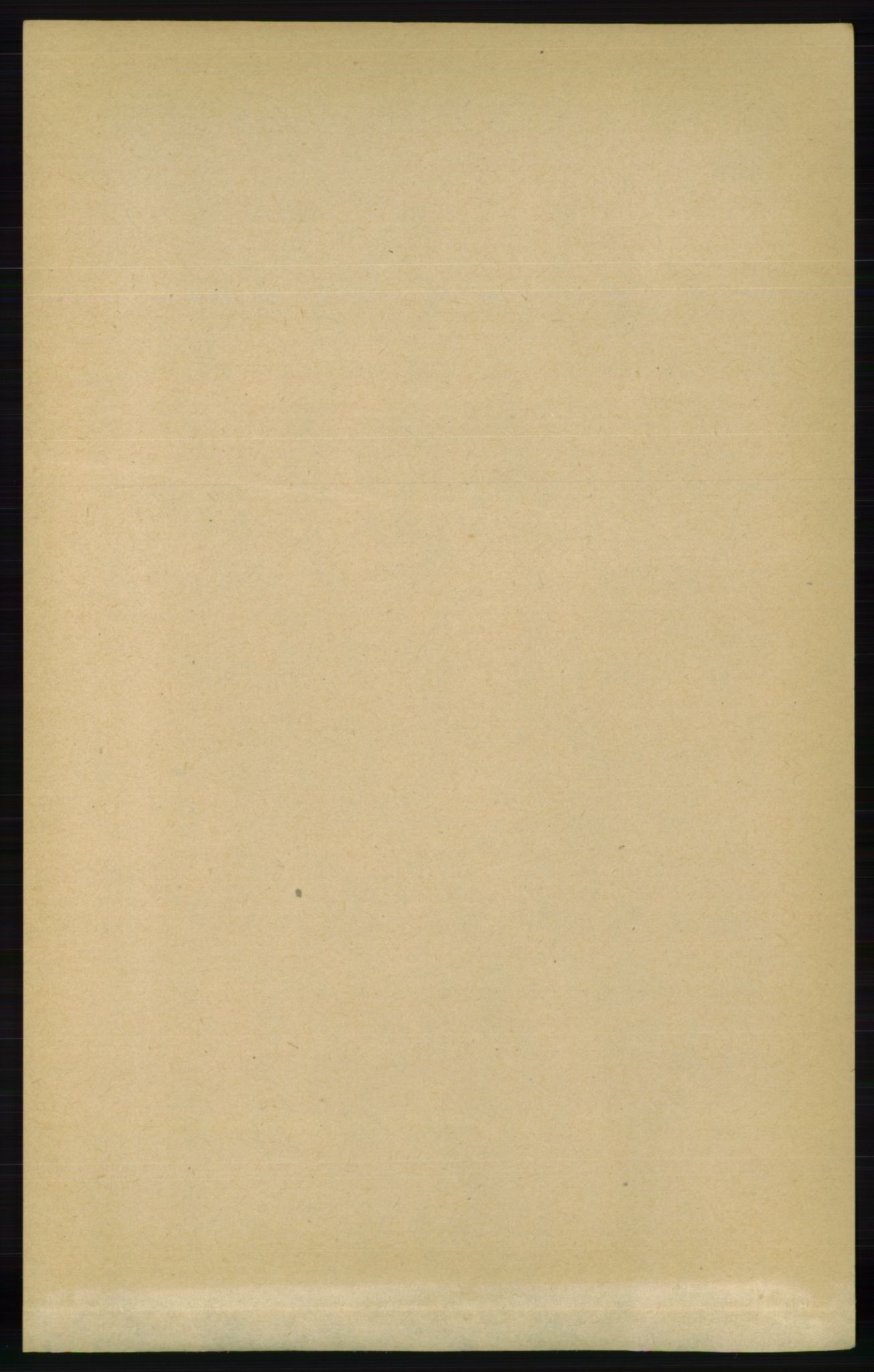 RA, Folketelling 1891 for 0934 Vegusdal herred, 1891, s. 317