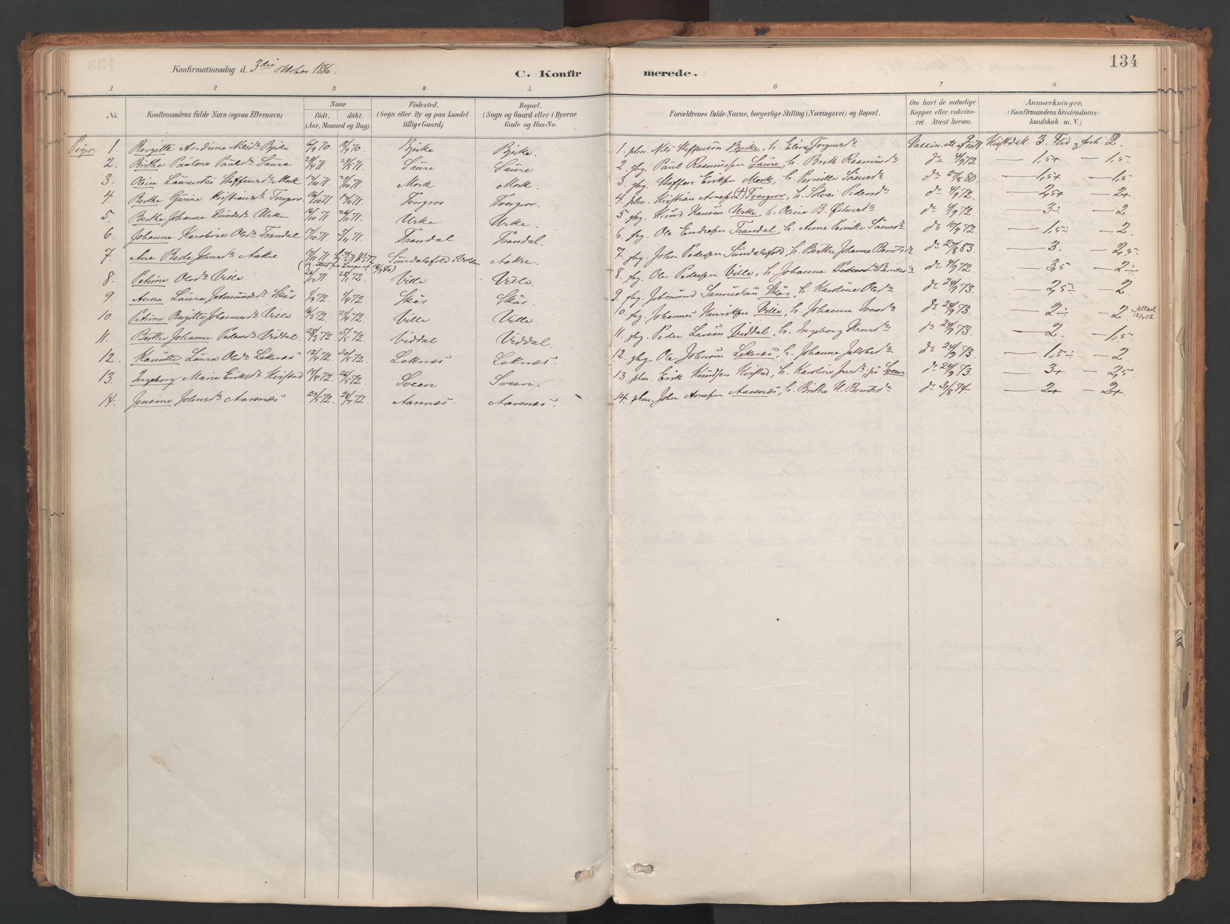 Ministerialprotokoller, klokkerbøker og fødselsregistre - Møre og Romsdal, AV/SAT-A-1454/515/L0211: Ministerialbok nr. 515A07, 1886-1910, s. 134