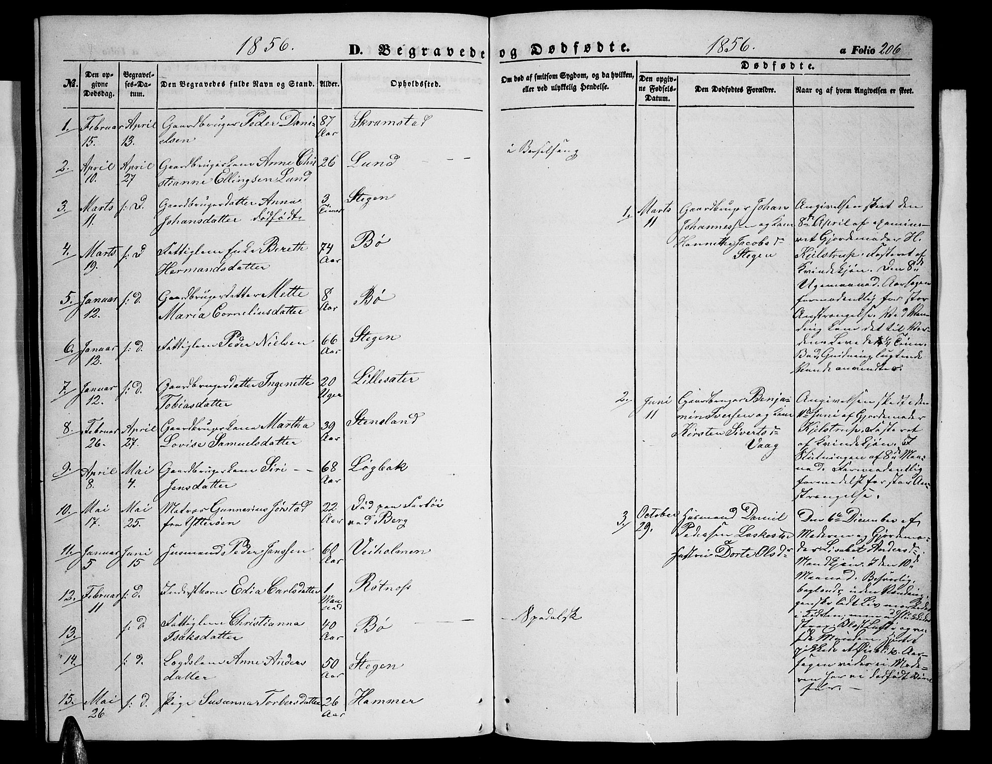 Ministerialprotokoller, klokkerbøker og fødselsregistre - Nordland, AV/SAT-A-1459/855/L0814: Klokkerbok nr. 855C03, 1851-1864, s. 206