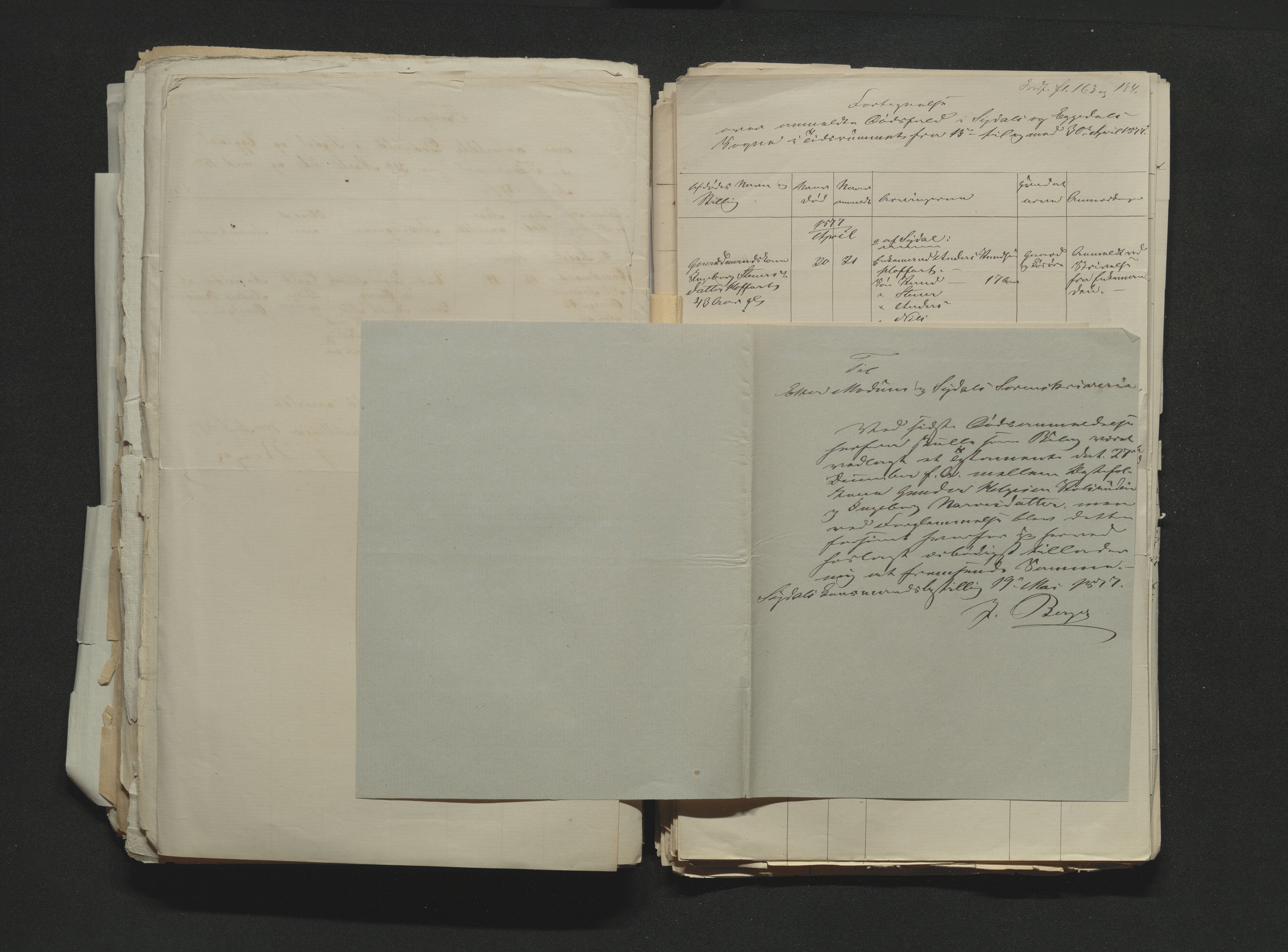 Eiker, Modum og Sigdal sorenskriveri, AV/SAKO-A-123/H/Ha/Hab/L0014: Dødsfallsmeldinger, 1874-1877, s. 709
