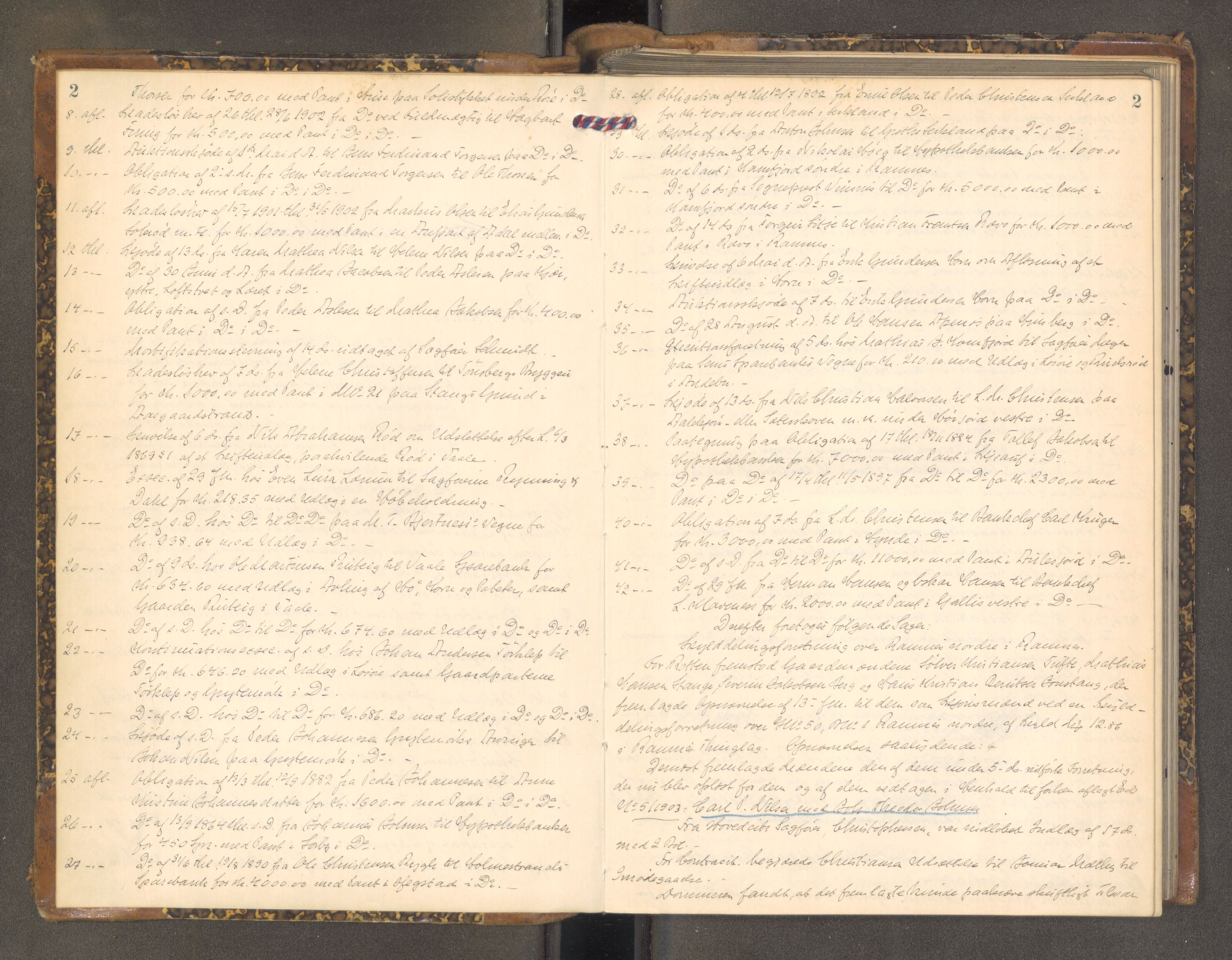 Mellom Jarlsberg sorenskriveri, AV/SAKO-A-132/F/Fa/Faa/L0013: Tingbok, 1903-1906, s. 2