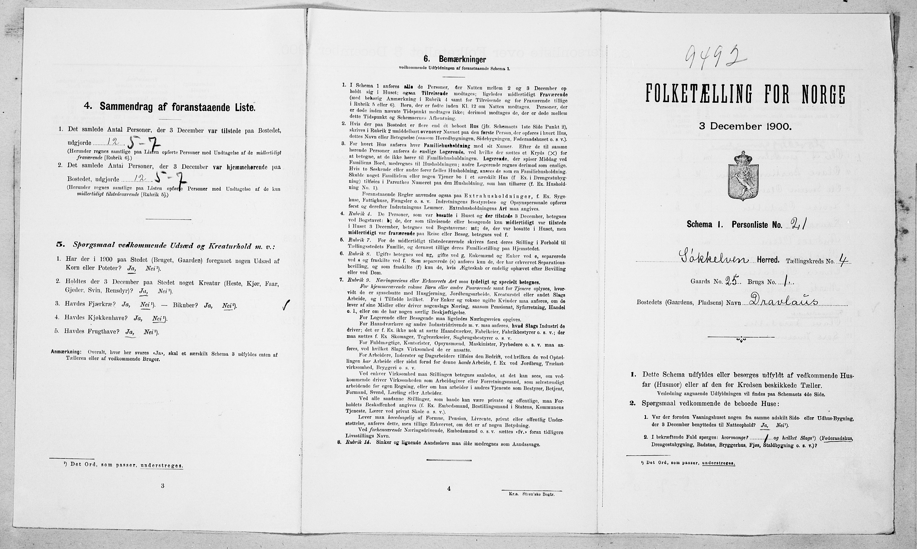 SAT, Folketelling 1900 for 1528 Sykkylven herred, 1900, s. 517