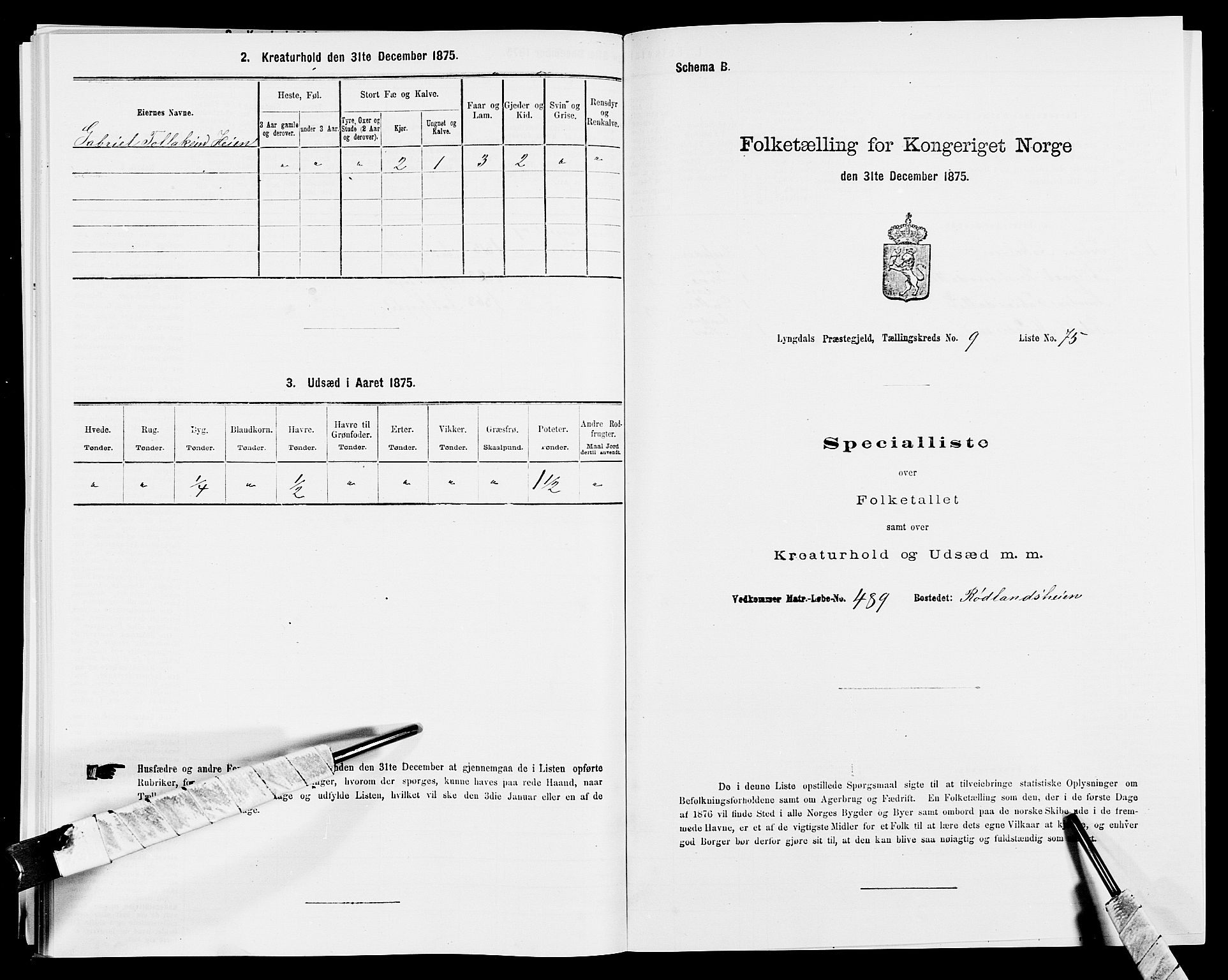 SAK, Folketelling 1875 for 1032P Lyngdal prestegjeld, 1875, s. 1517