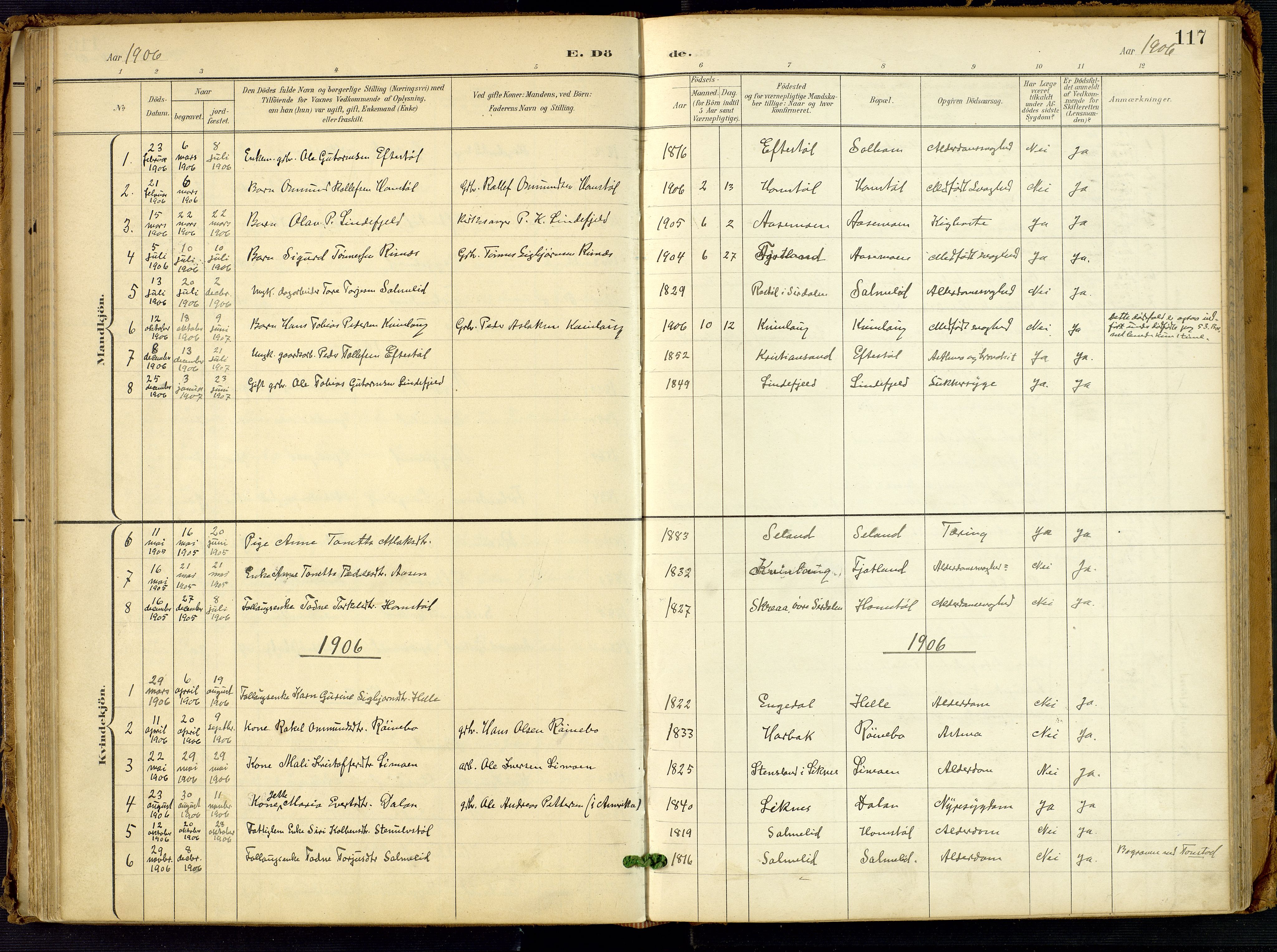 Fjotland sokneprestkontor, AV/SAK-1111-0010/F/Fa/L0003: Ministerialbok nr. A 3, 1899-1917, s. 117