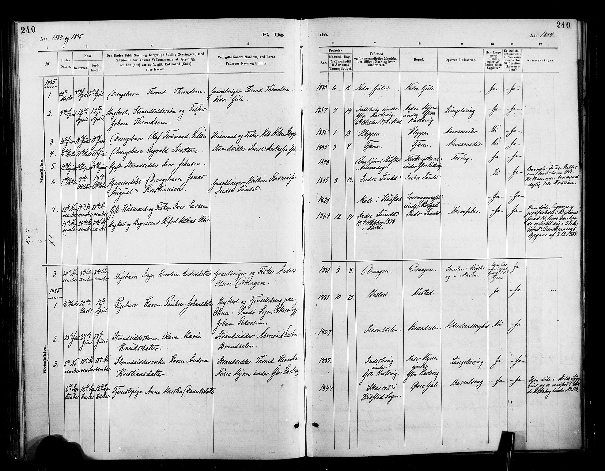 Ministerialprotokoller, klokkerbøker og fødselsregistre - Møre og Romsdal, AV/SAT-A-1454/566/L0769: Ministerialbok nr. 566A08, 1881-1903, s. 240