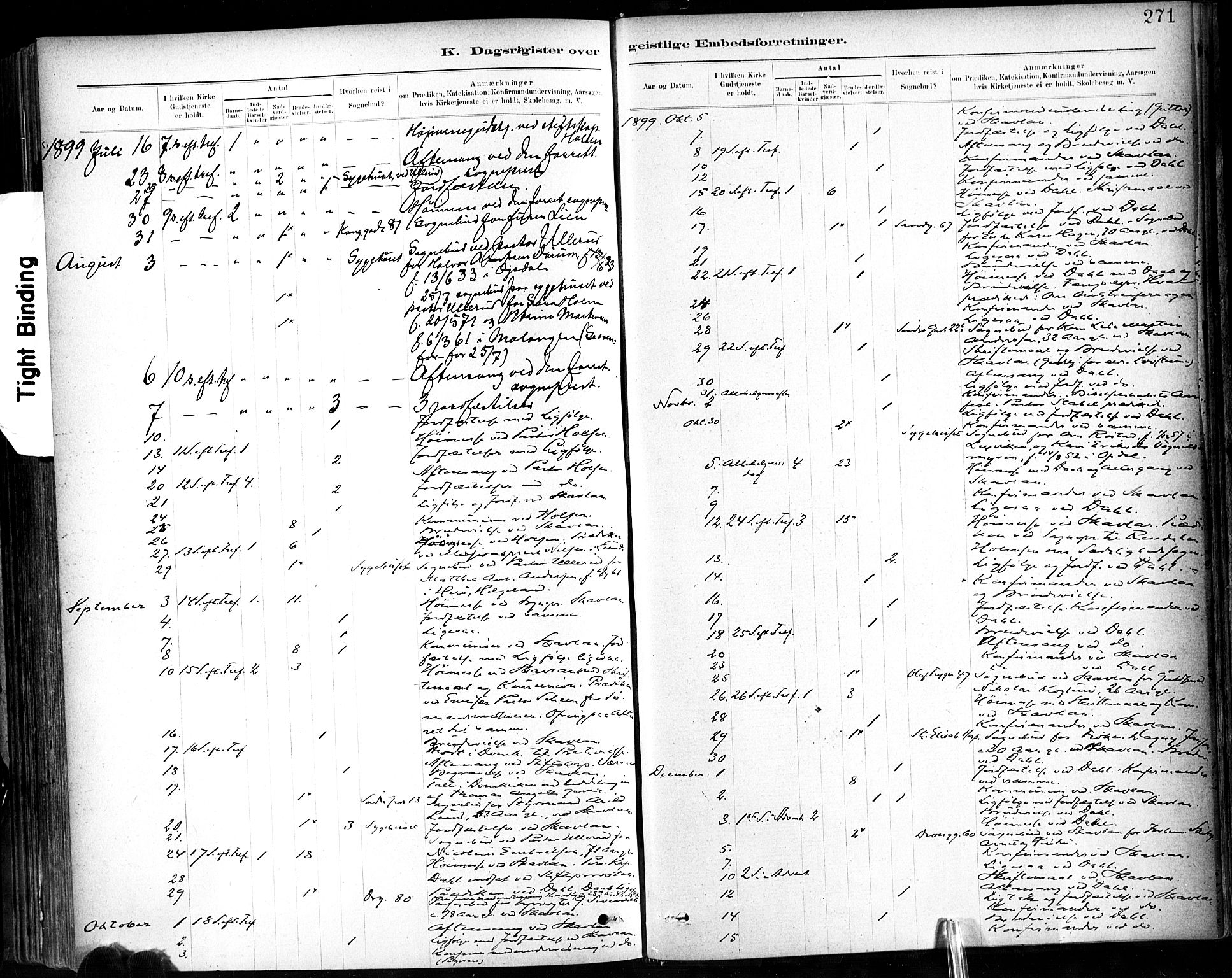 Ministerialprotokoller, klokkerbøker og fødselsregistre - Sør-Trøndelag, AV/SAT-A-1456/602/L0120: Ministerialbok nr. 602A18, 1880-1913, s. 271