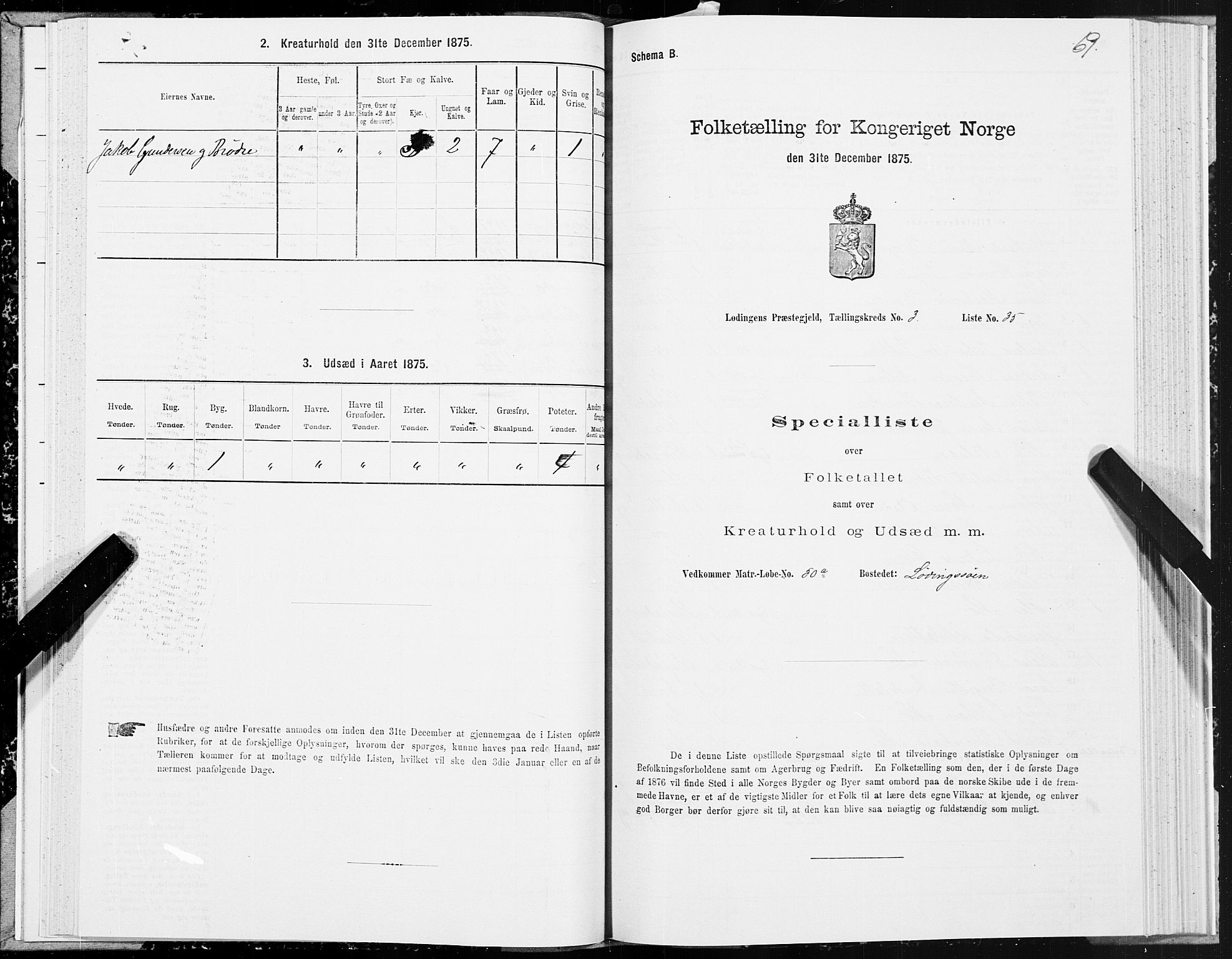 SAT, Folketelling 1875 for 1851P Lødingen prestegjeld, 1875, s. 2069