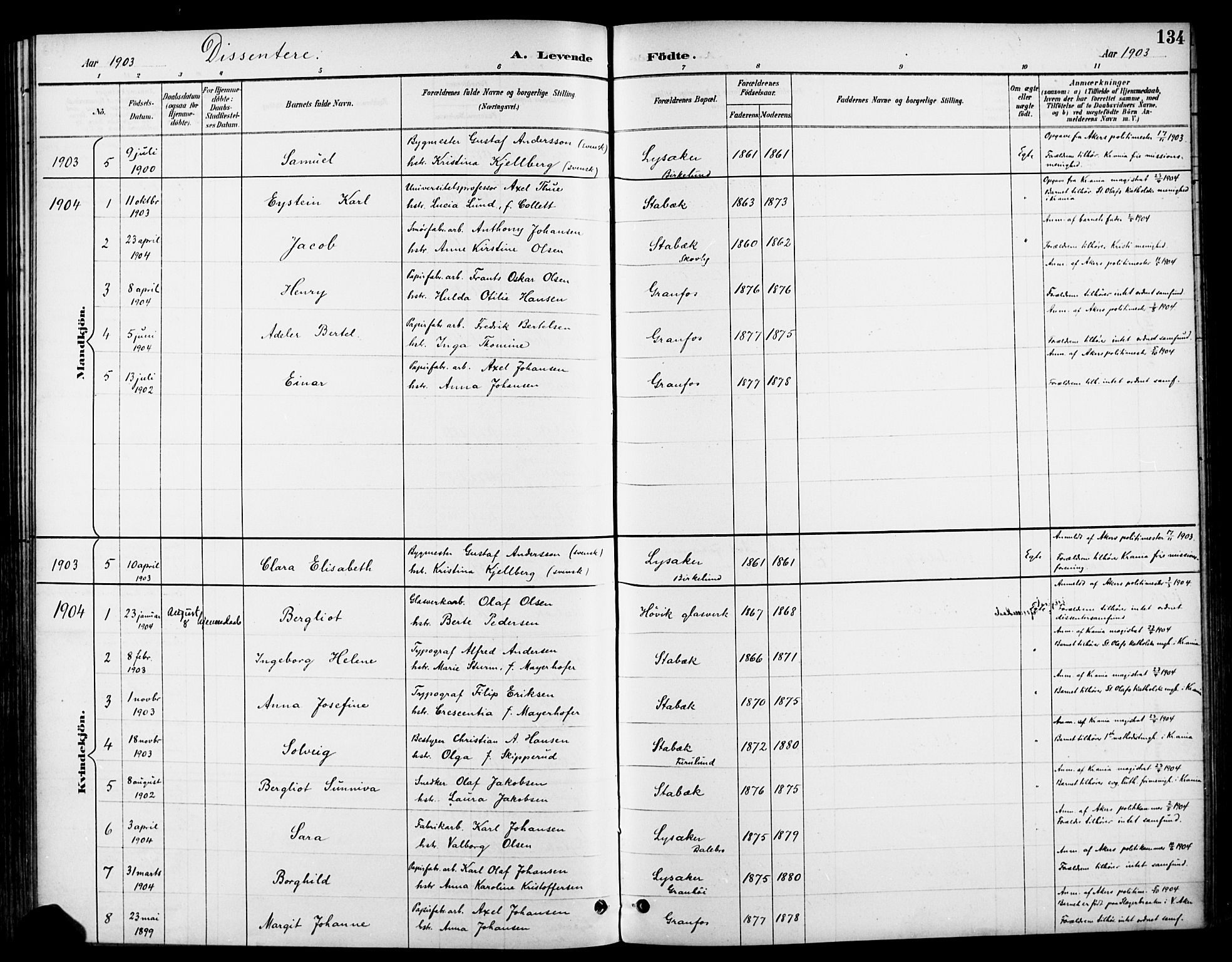 Asker prestekontor Kirkebøker, AV/SAO-A-10256a/F/Fc/L0003: Ministerialbok nr. III 3, 1892-1904, s. 134