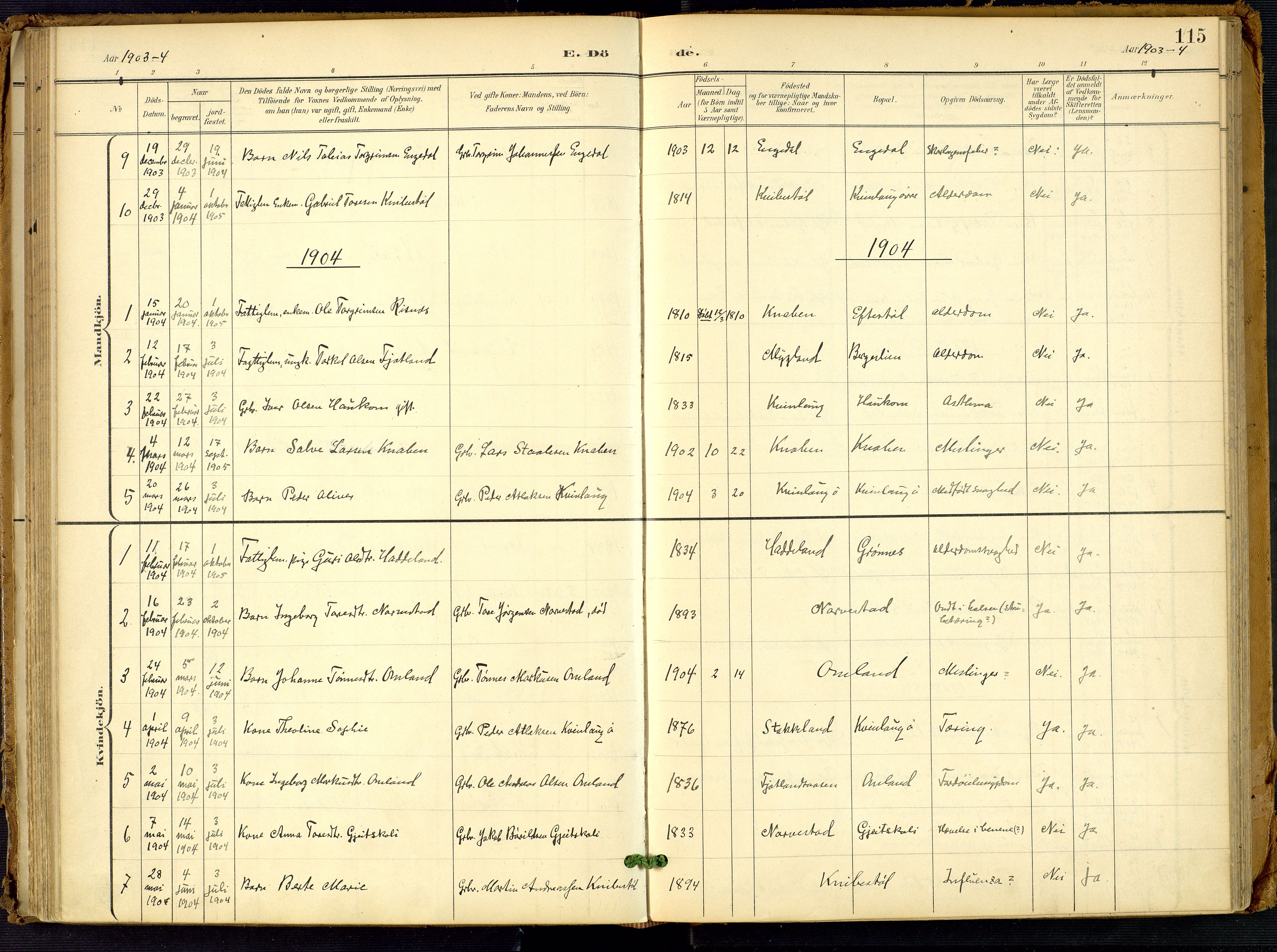 Fjotland sokneprestkontor, SAK/1111-0010/F/Fa/L0003: Ministerialbok nr. A 3, 1899-1917, s. 115