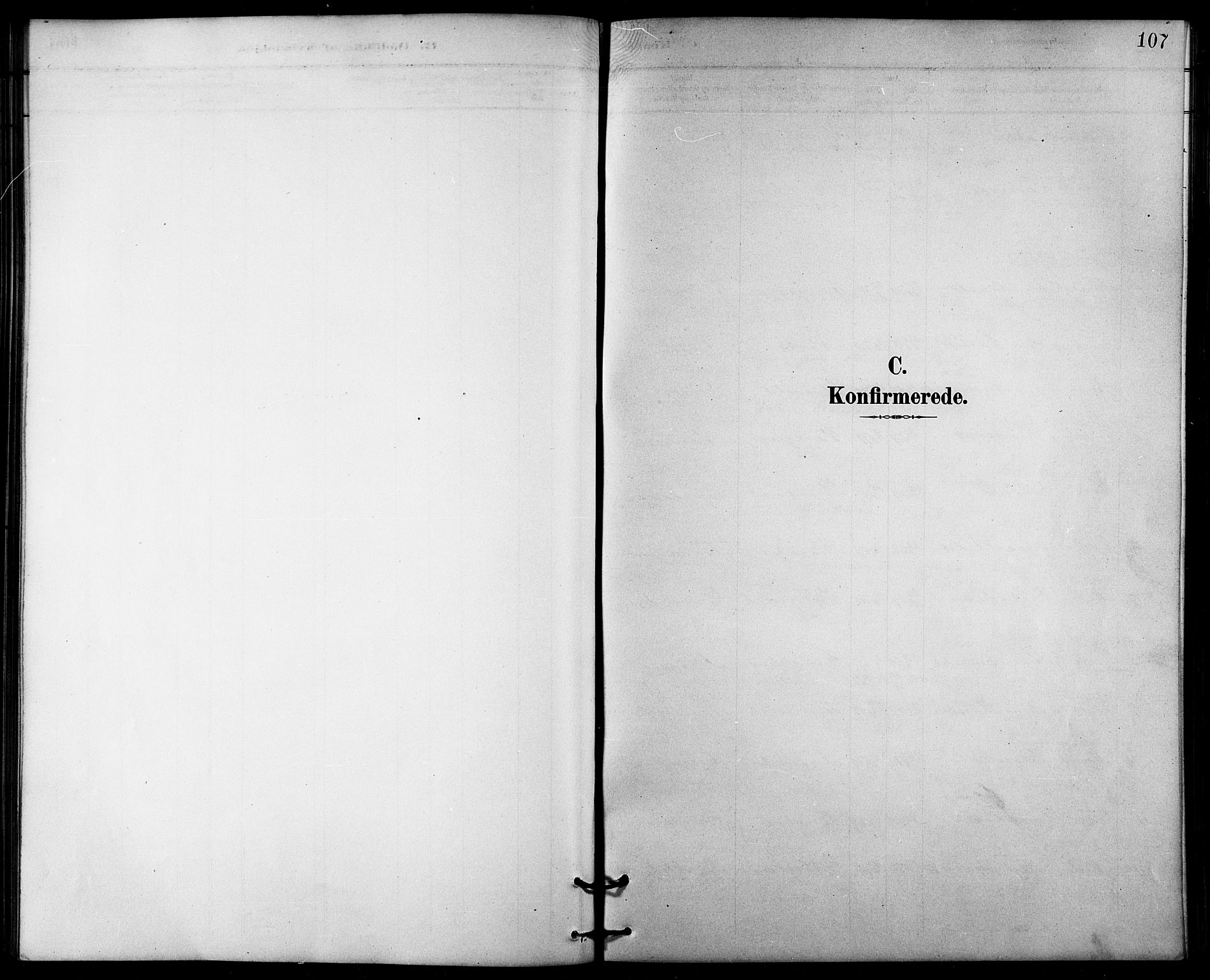 Målselv sokneprestembete, AV/SATØ-S-1311/G/Ga/Gab/L0004klokker: Klokkerbok nr. 4, 1885-1901, s. 107