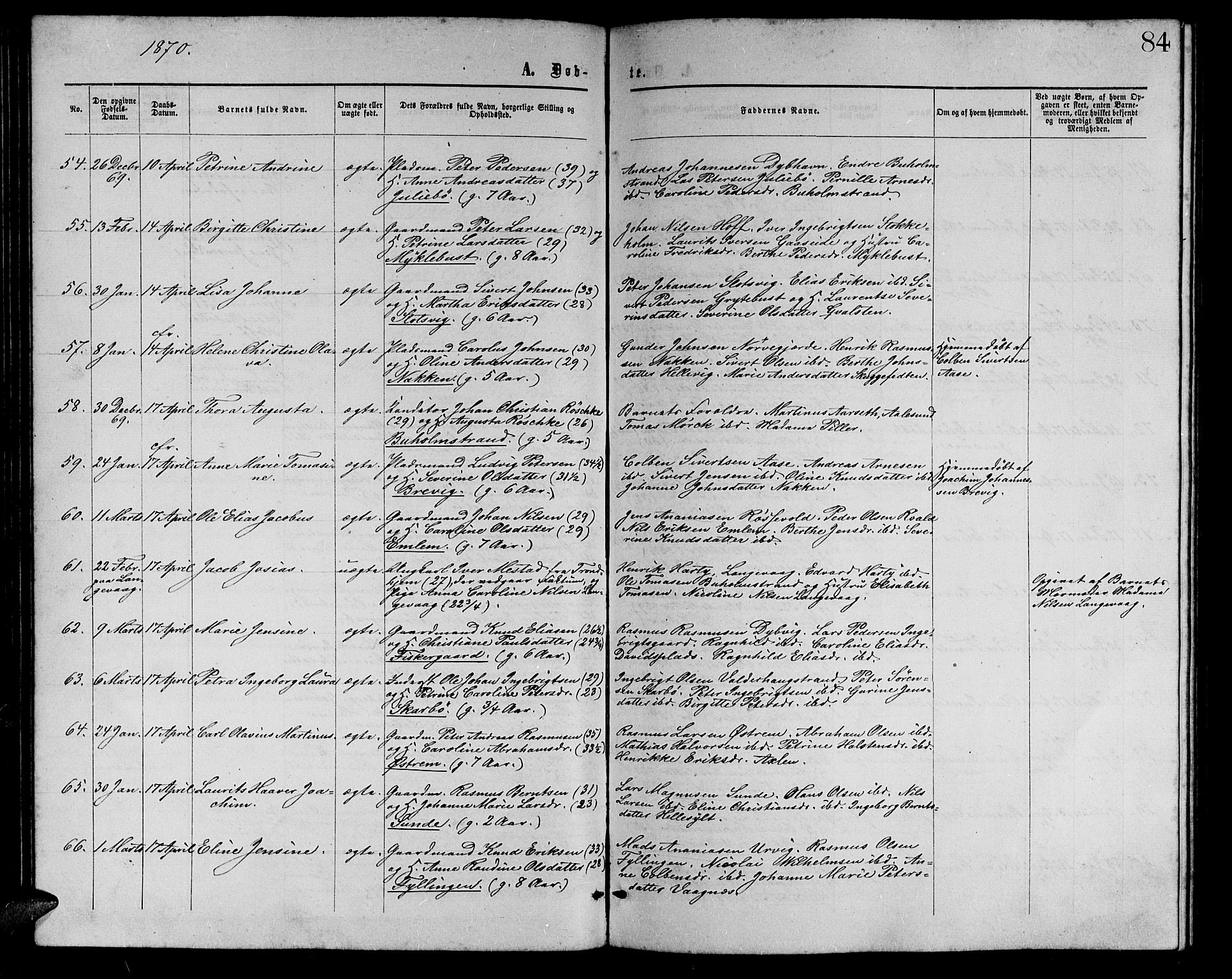 Ministerialprotokoller, klokkerbøker og fødselsregistre - Møre og Romsdal, AV/SAT-A-1454/528/L0428: Klokkerbok nr. 528C09, 1864-1880, s. 84