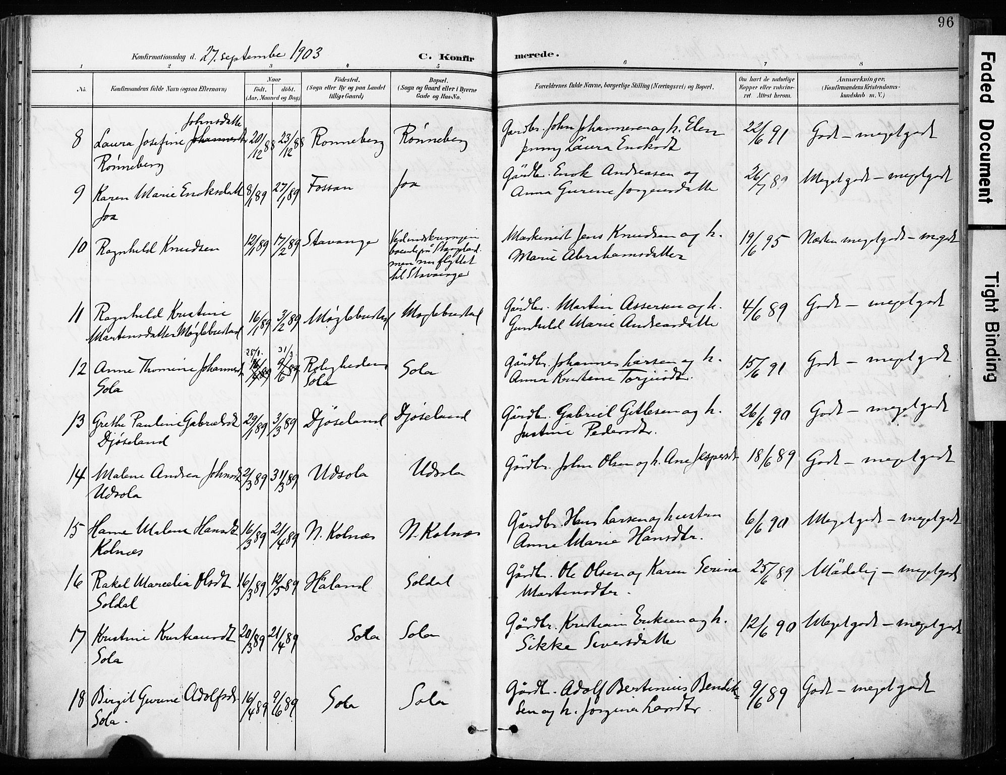 Håland sokneprestkontor, AV/SAST-A-101802/001/30BA/L0013: Ministerialbok nr. A 12, 1901-1913, s. 96