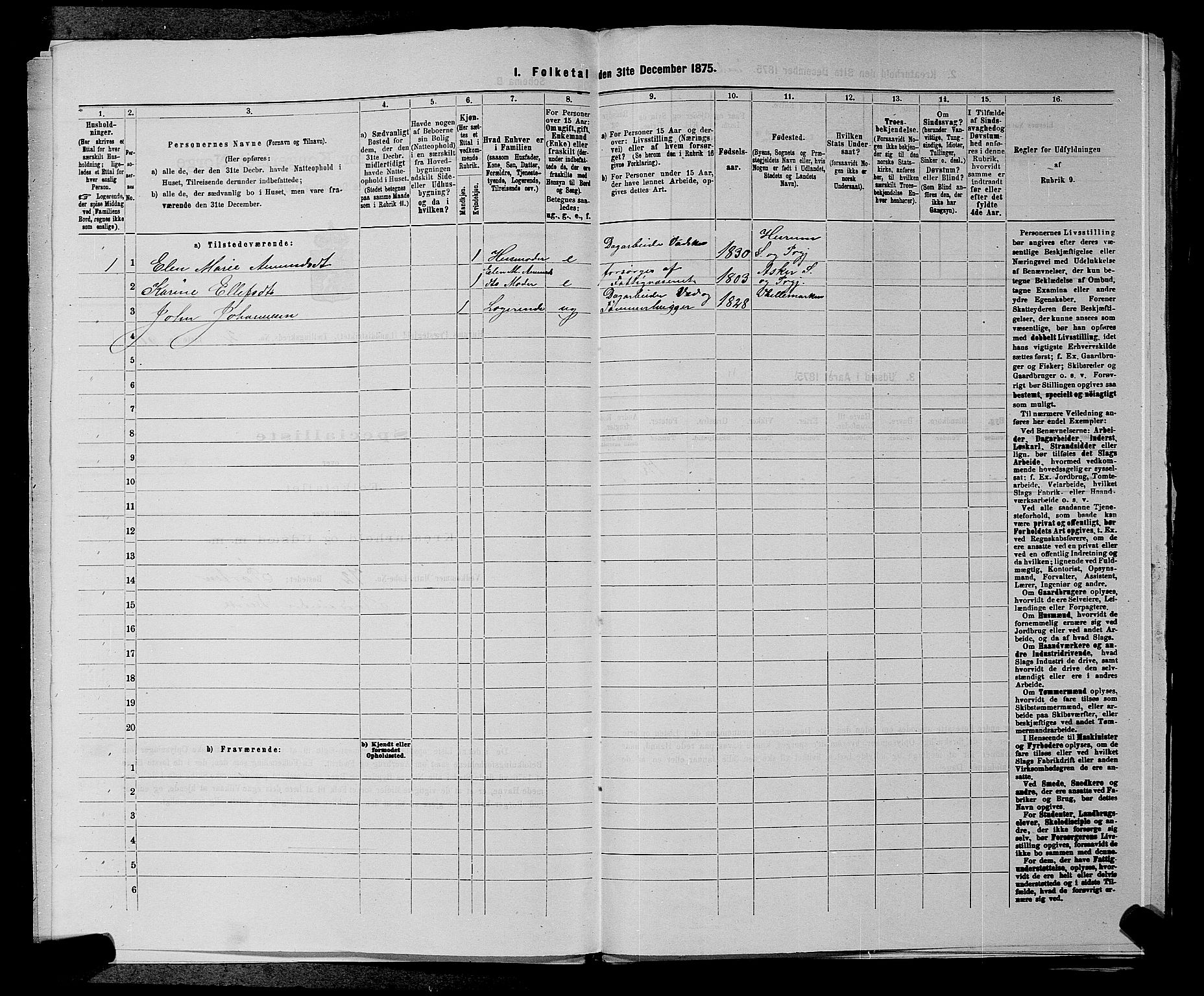 SAKO, Folketelling 1875 for 0628L Hurum prestegjeld, Hurum sokn, 1875, s. 219