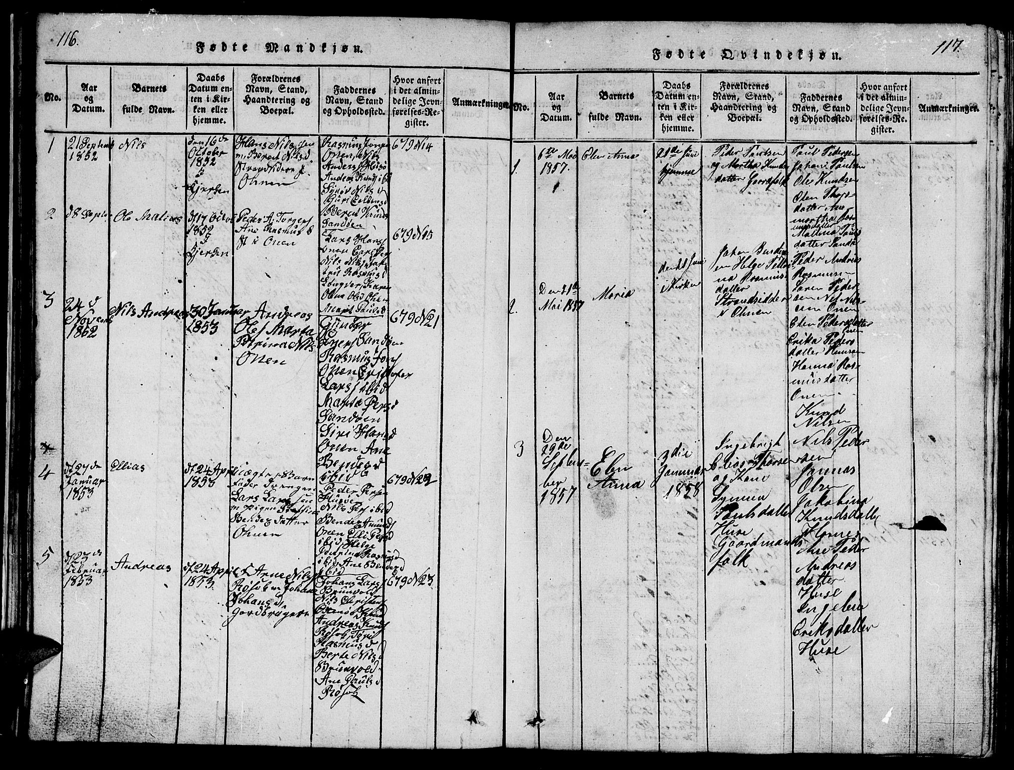 Ministerialprotokoller, klokkerbøker og fødselsregistre - Møre og Romsdal, AV/SAT-A-1454/561/L0731: Klokkerbok nr. 561C01, 1817-1867, s. 116-117