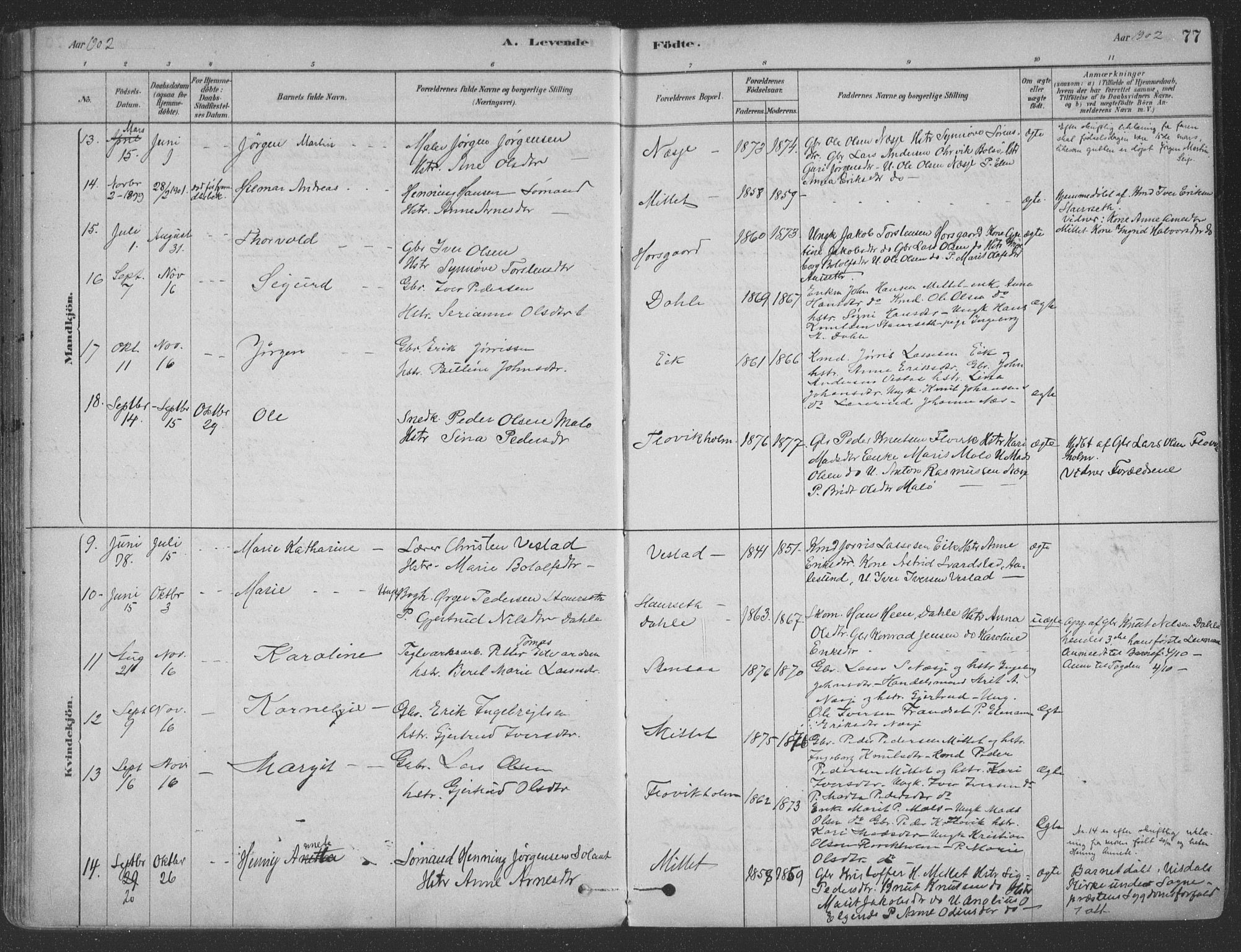 Ministerialprotokoller, klokkerbøker og fødselsregistre - Møre og Romsdal, SAT/A-1454/547/L0604: Ministerialbok nr. 547A06, 1878-1906, s. 77