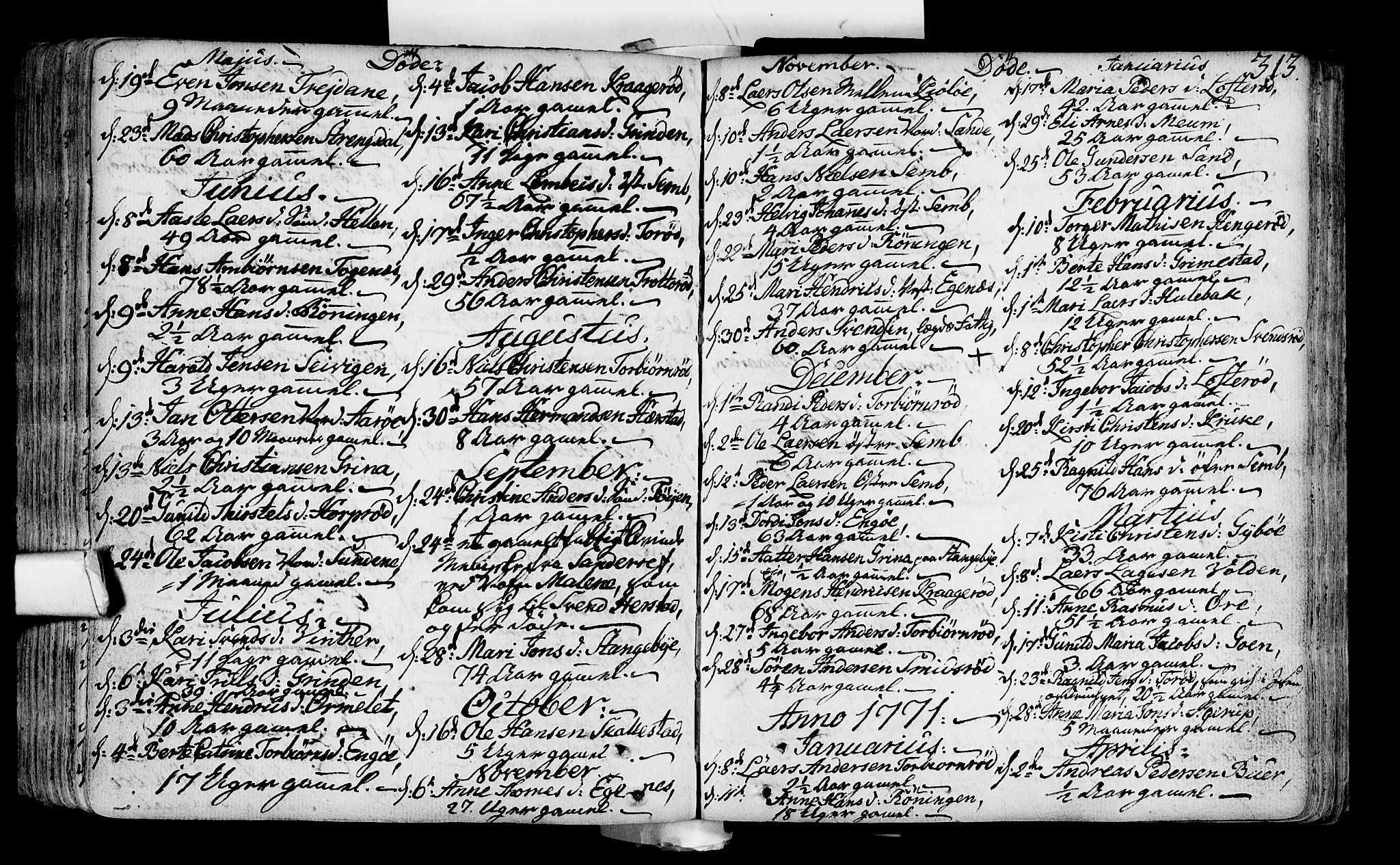 Nøtterøy kirkebøker, AV/SAKO-A-354/F/Fa/L0002: Ministerialbok nr. I 2, 1738-1790, s. 313