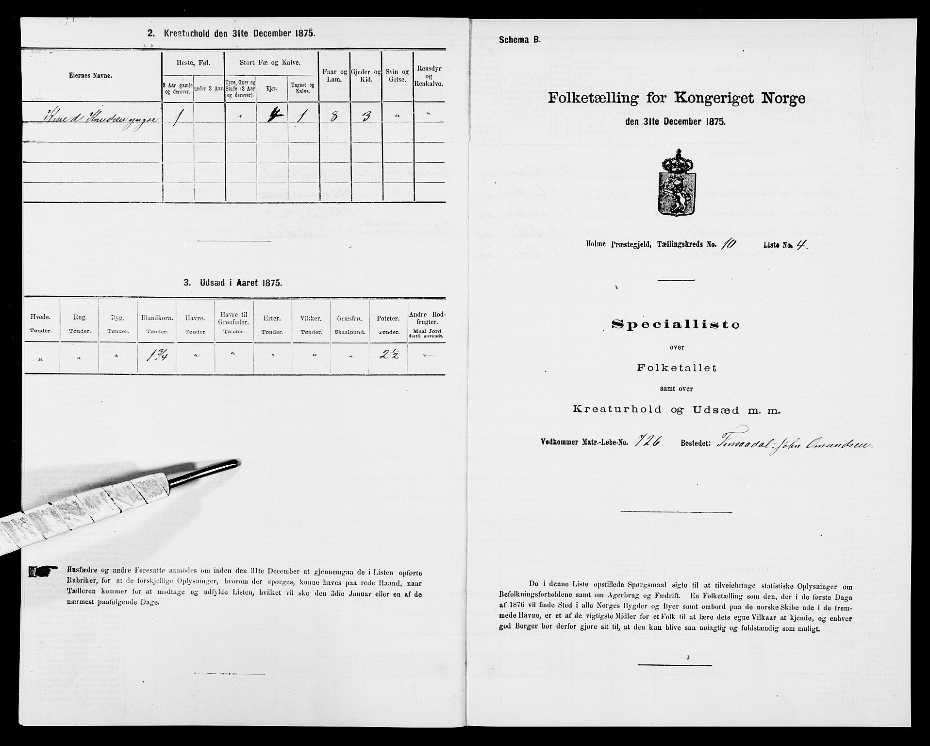 SAK, Folketelling 1875 for 1020P Holum prestegjeld, 1875, s. 1062