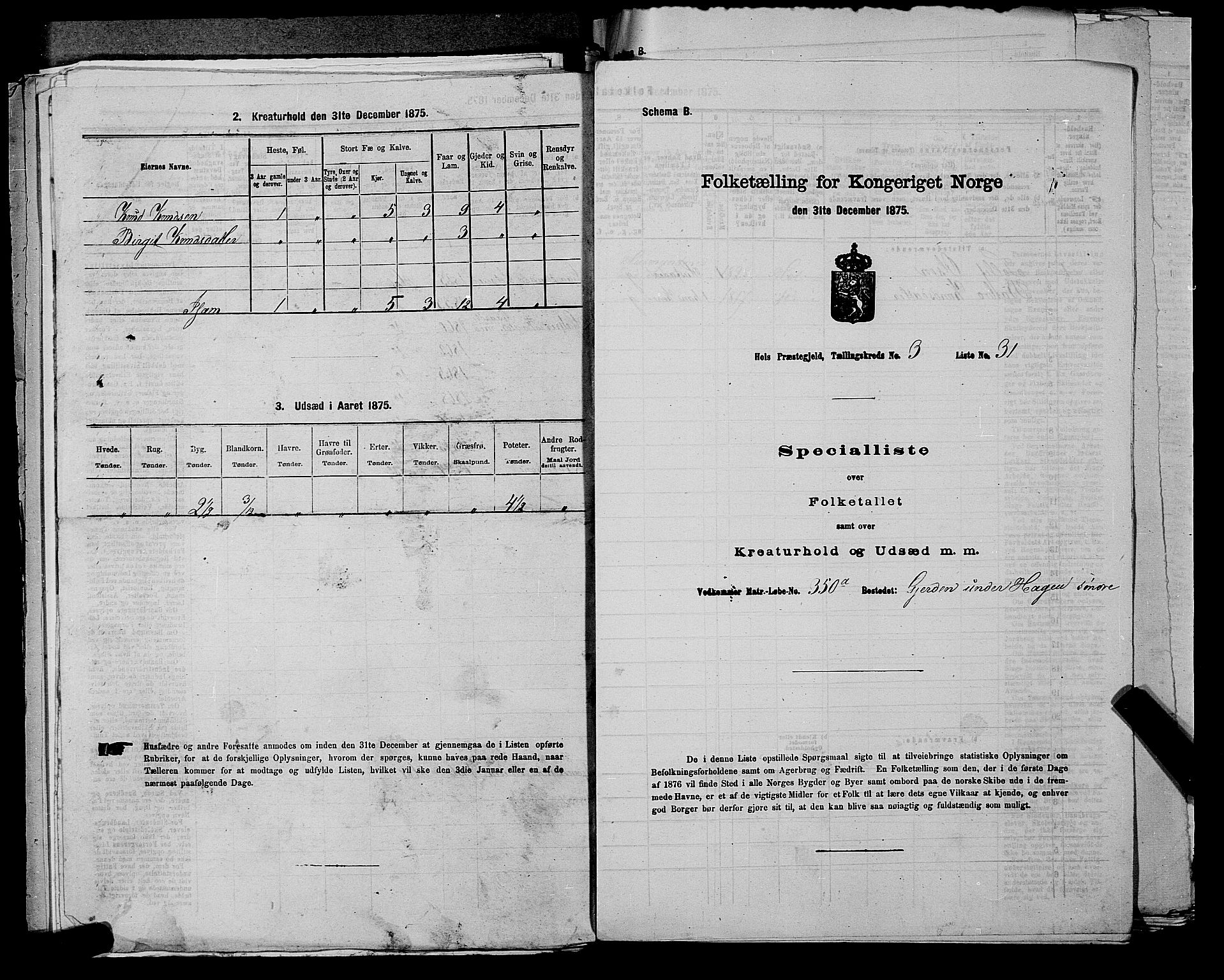 SAKO, Folketelling 1875 for 0620P Hol prestegjeld, 1875, s. 423