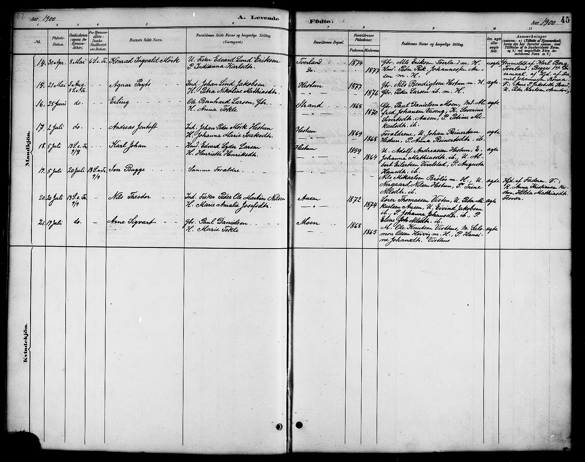 Ministerialprotokoller, klokkerbøker og fødselsregistre - Nordland, AV/SAT-A-1459/819/L0277: Klokkerbok nr. 819C03, 1888-1917, s. 45