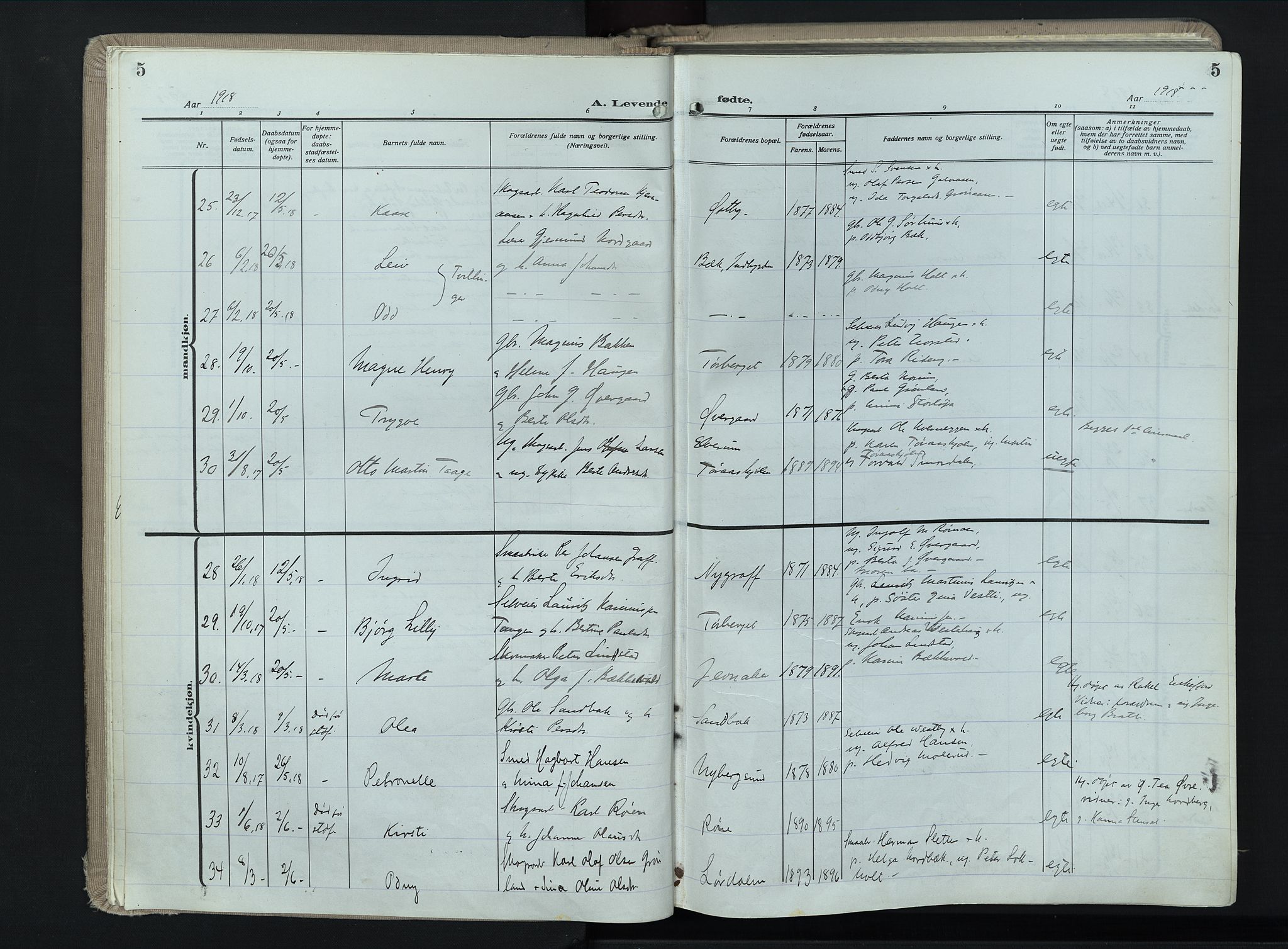 Trysil prestekontor, AV/SAH-PREST-046/H/Ha/Haa/L0017: Ministerialbok nr. 17, 1918-1936, s. 5