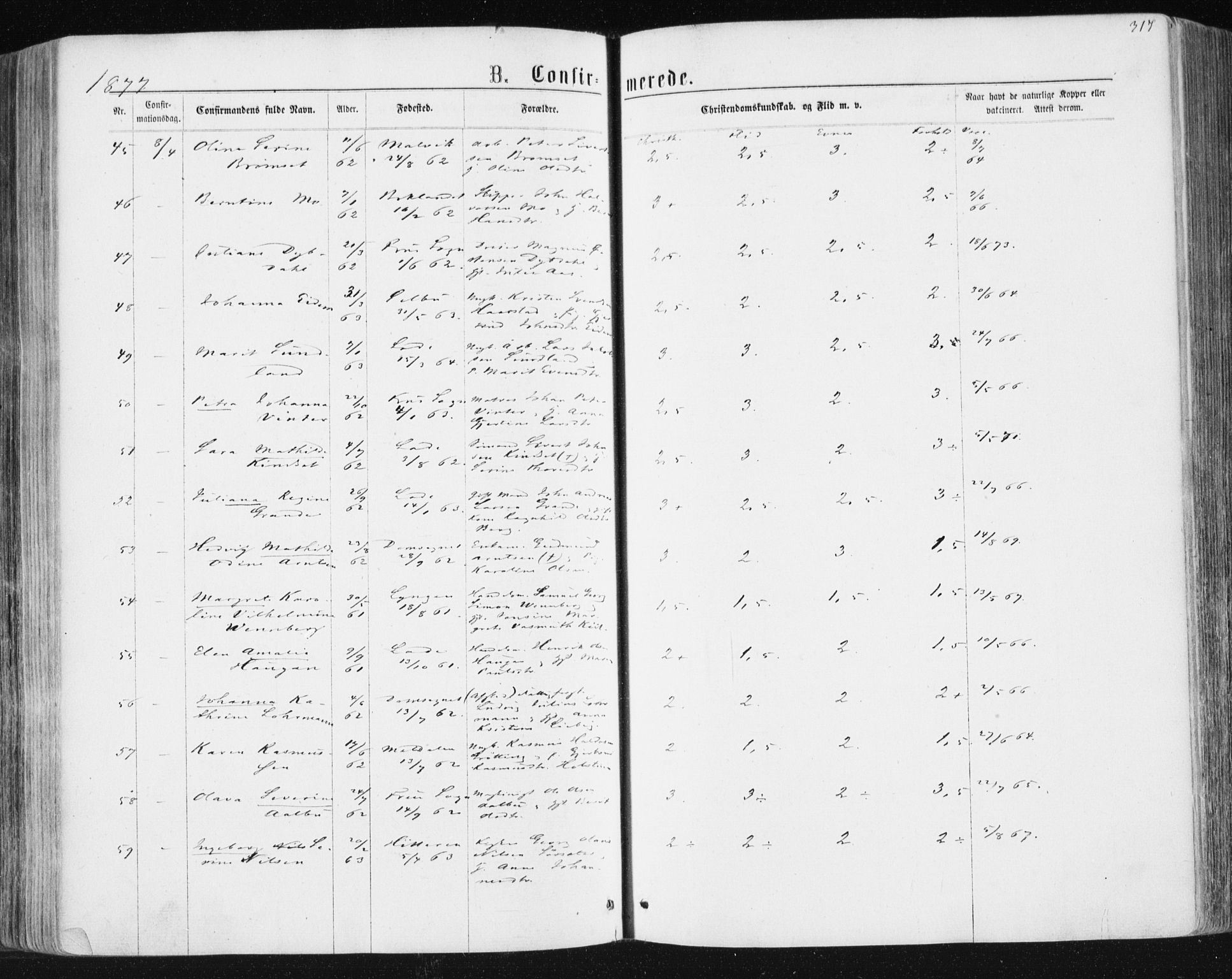 Ministerialprotokoller, klokkerbøker og fødselsregistre - Sør-Trøndelag, AV/SAT-A-1456/604/L0186: Ministerialbok nr. 604A07, 1866-1877, s. 317