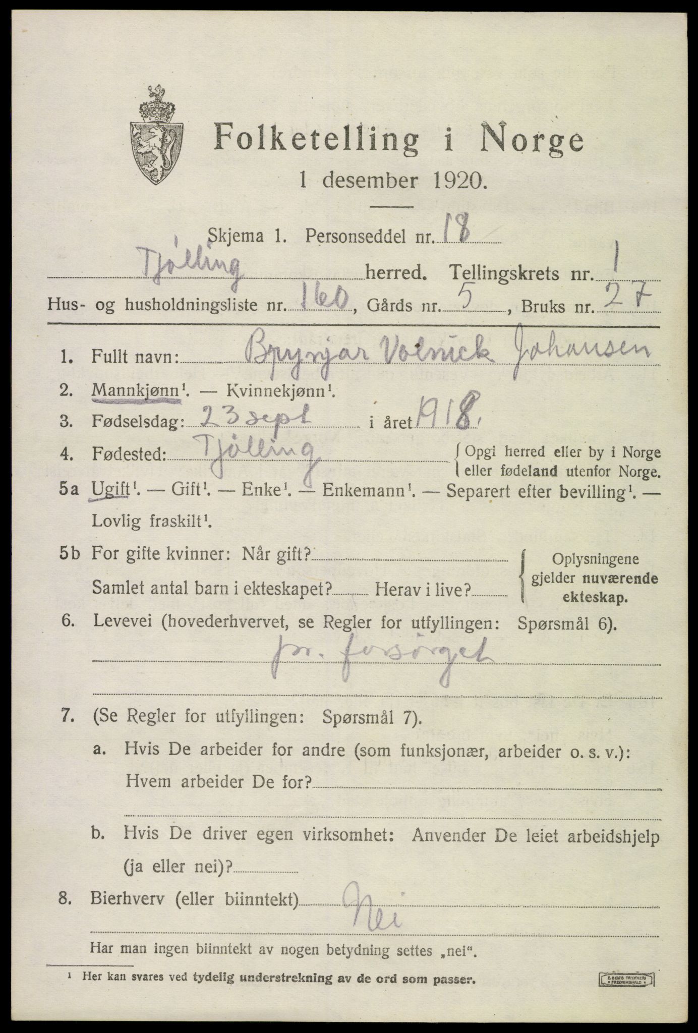SAKO, Folketelling 1920 for 0725 Tjølling herred, 1920, s. 3349