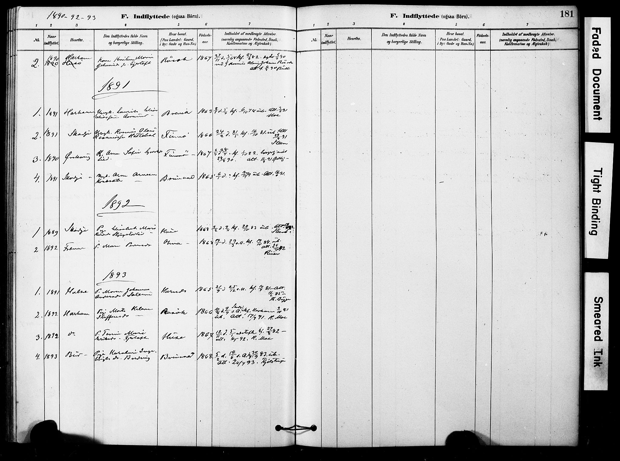 Ministerialprotokoller, klokkerbøker og fødselsregistre - Møre og Romsdal, AV/SAT-A-1454/561/L0729: Ministerialbok nr. 561A03, 1878-1900, s. 181