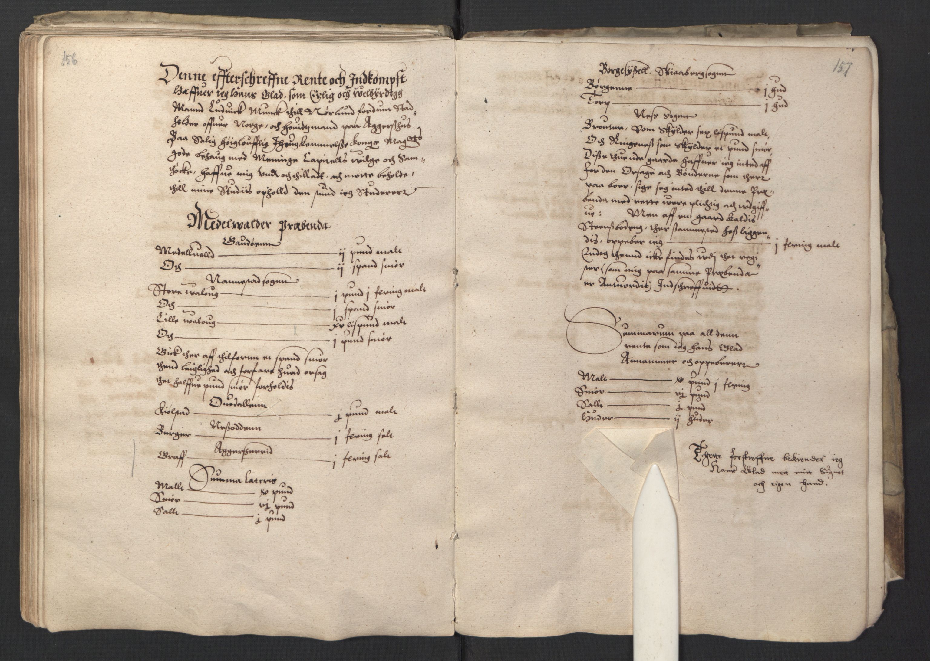 Stattholderembetet 1572-1771, AV/RA-EA-2870/Ek/L0001/0001: Jordebøker før 1624 og til utligning av garnisonsskatt 1624-1626: / Jordebok for Oslo kapitel, 1595, s. 96