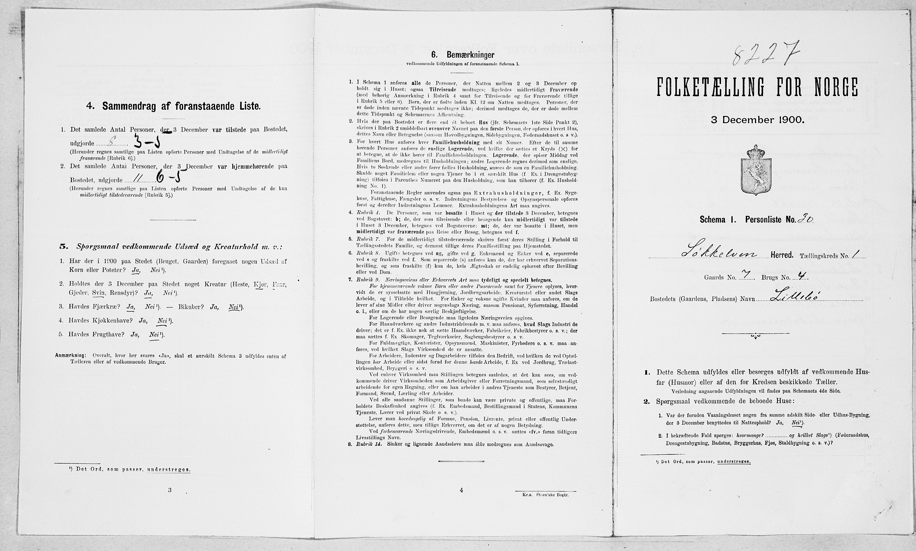 SAT, Folketelling 1900 for 1528 Sykkylven herred, 1900, s. 116