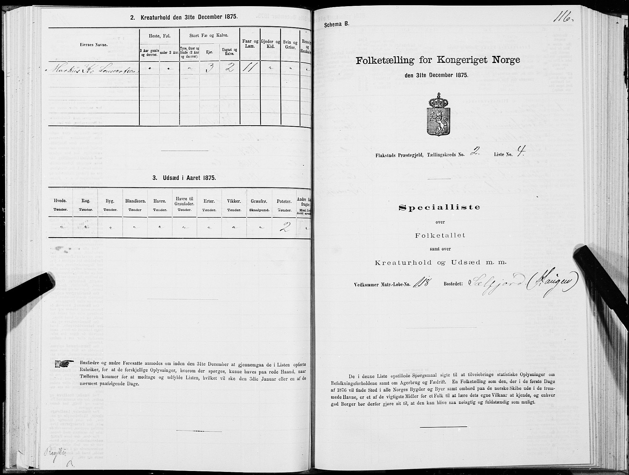 SAT, Folketelling 1875 for 1859P Flakstad prestegjeld, 1875, s. 1116