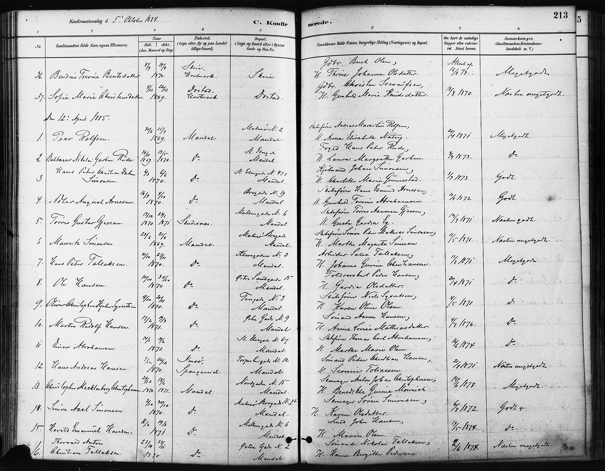 Mandal sokneprestkontor, AV/SAK-1111-0030/F/Fa/Faa/L0016: Ministerialbok nr. A 16, 1880-1890, s. 213