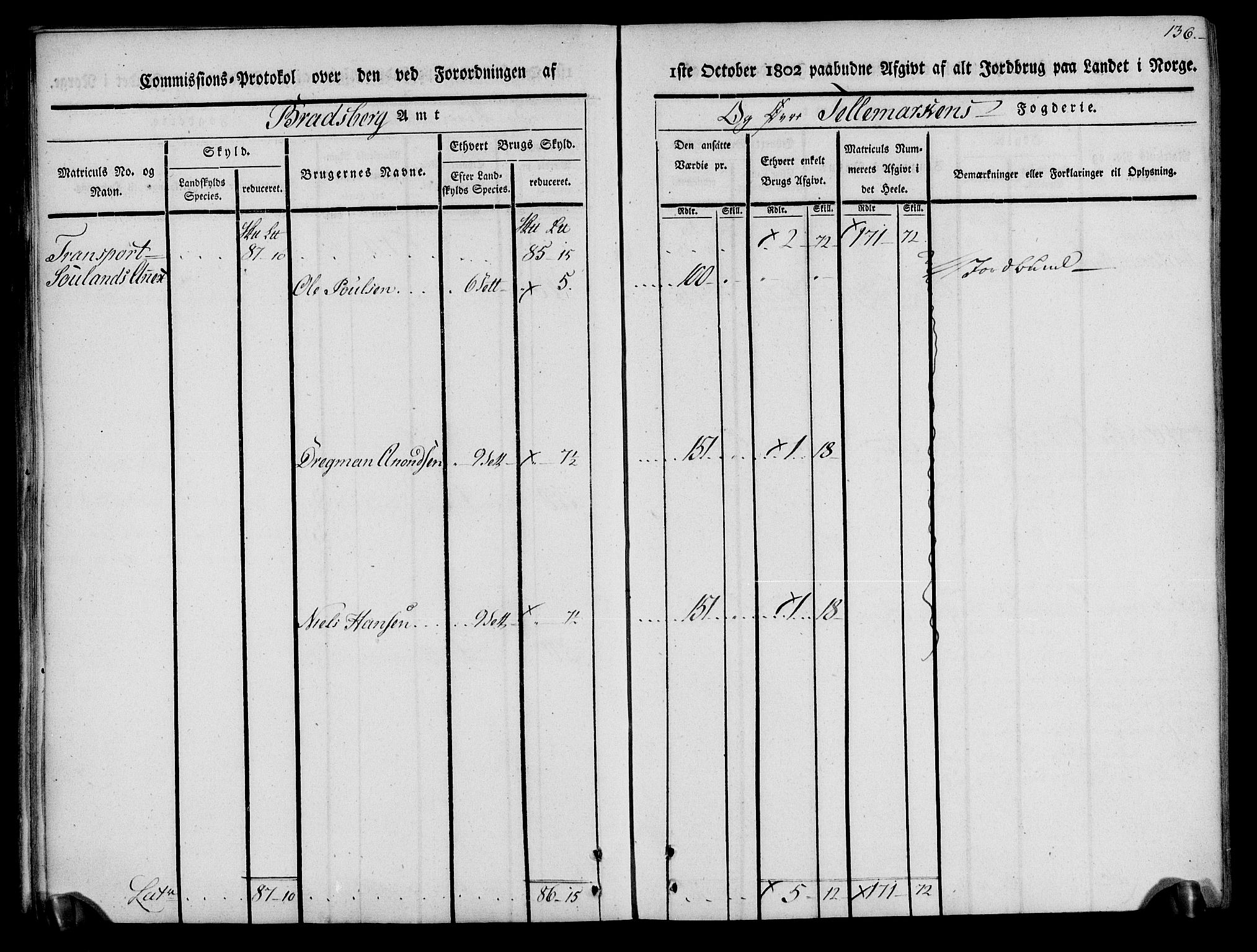 Rentekammeret inntil 1814, Realistisk ordnet avdeling, AV/RA-EA-4070/N/Ne/Nea/L0074: Øvre Telemarken fogderi. Kommisjonsprotokoll for fogderiets østre del - Tinn, Hjartdal og Seljord prestegjeld., 1803, s. 136