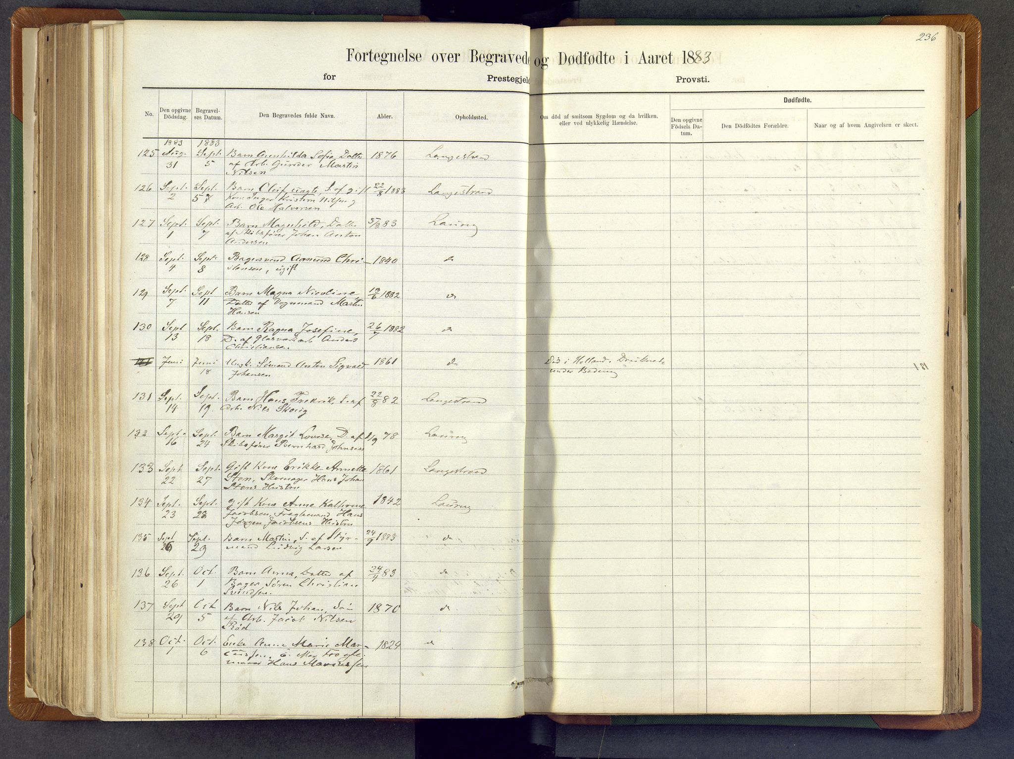 Larvik kirkebøker, AV/SAKO-A-352/F/Fa/L0007: Ministerialbok nr. I 7, 1871-1883, s. 236