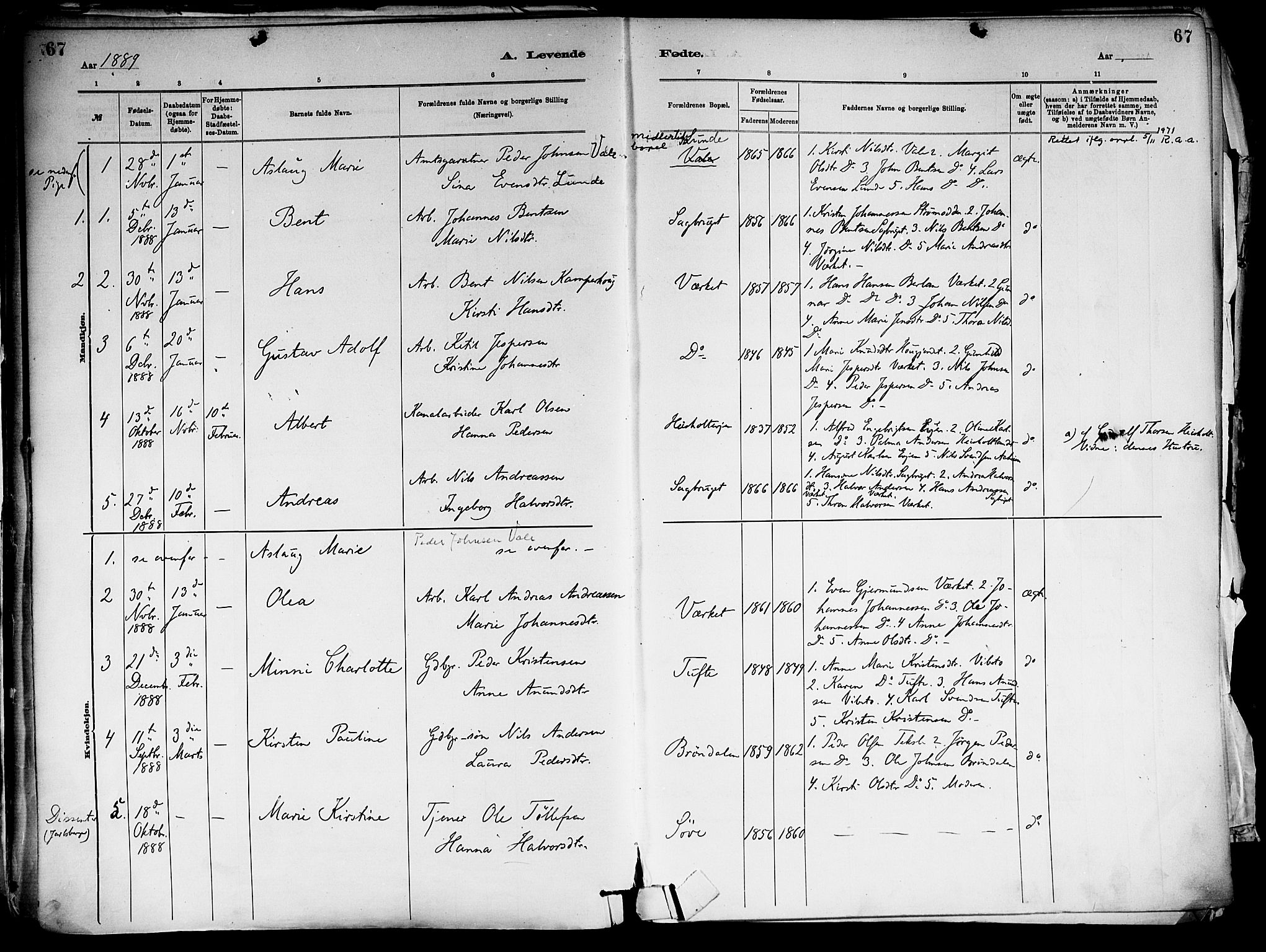 Holla kirkebøker, AV/SAKO-A-272/F/Fa/L0008: Ministerialbok nr. 8, 1882-1897, s. 67
