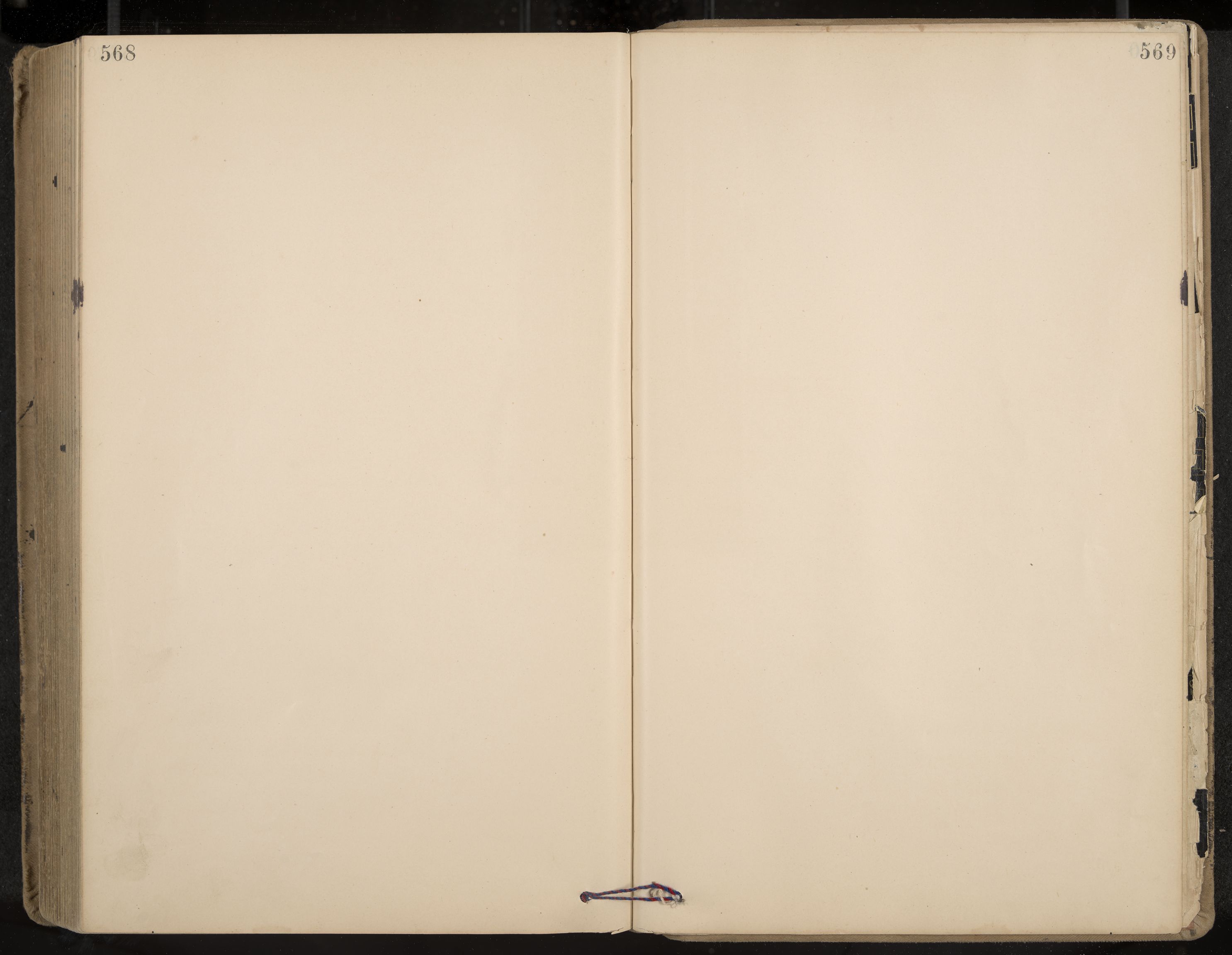 Seljord formannskap og sentraladministrasjon, IKAK/0828021/A/Aa/L0003: Møtebok med register, 1891-1905, s. 568-569
