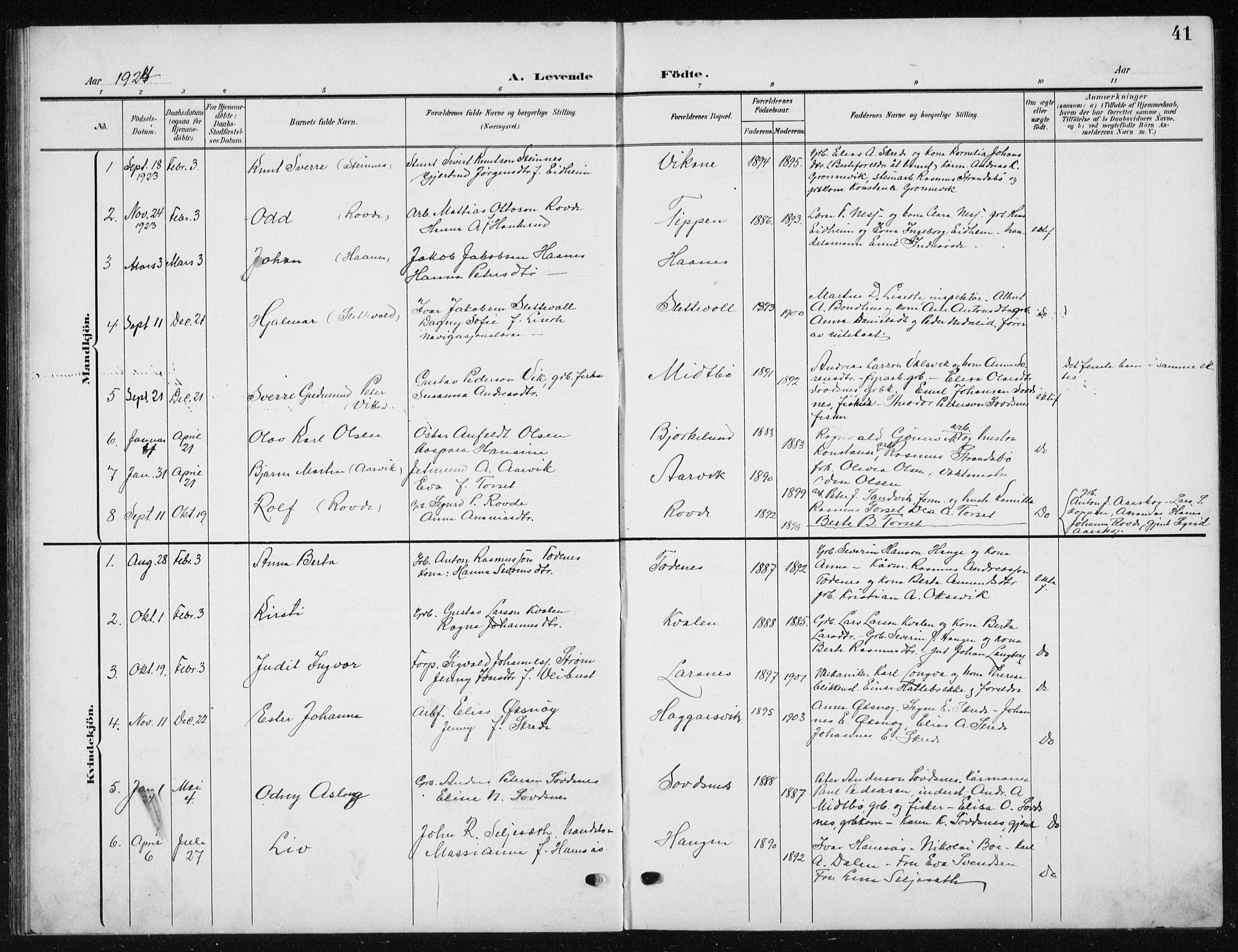 Ministerialprotokoller, klokkerbøker og fødselsregistre - Møre og Romsdal, AV/SAT-A-1454/504/L0061: Klokkerbok nr. 504C03, 1902-1940, s. 41
