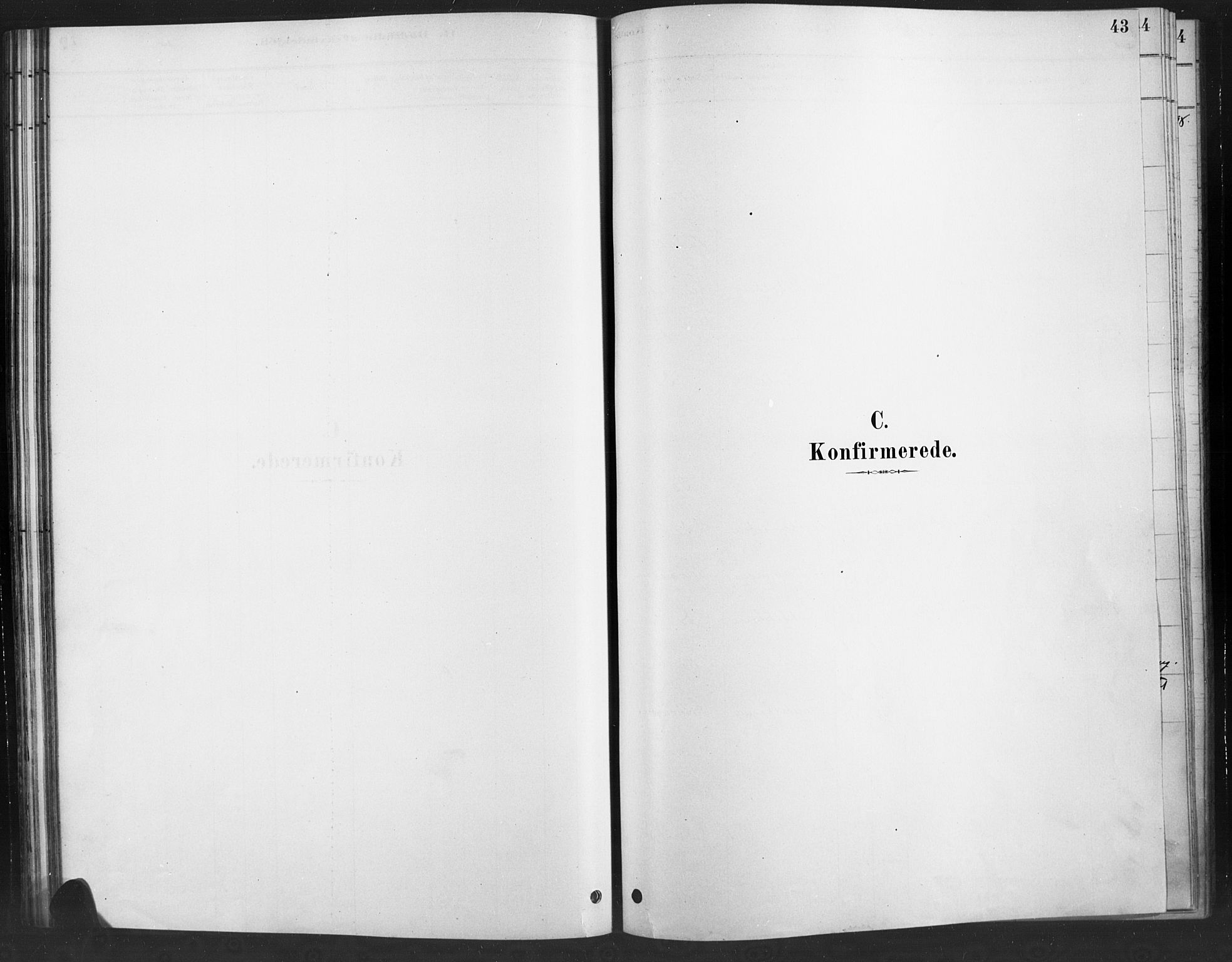 Ringebu prestekontor, AV/SAH-PREST-082/H/Ha/Haa/L0010: Ministerialbok nr. 10, 1878-1898, s. 43