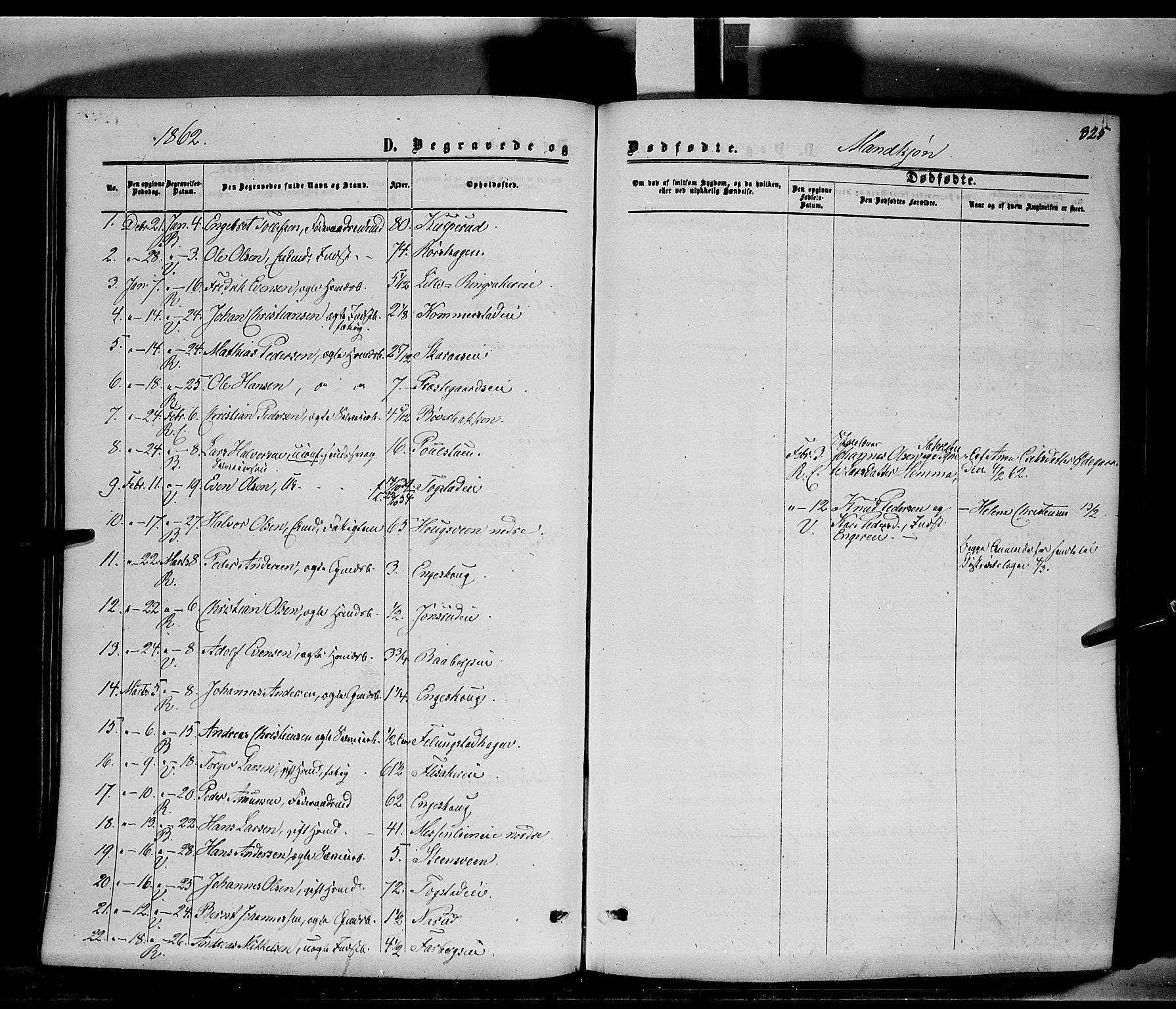 Ringsaker prestekontor, SAH/PREST-014/K/Ka/L0010: Ministerialbok nr. 10, 1861-1869, s. 325