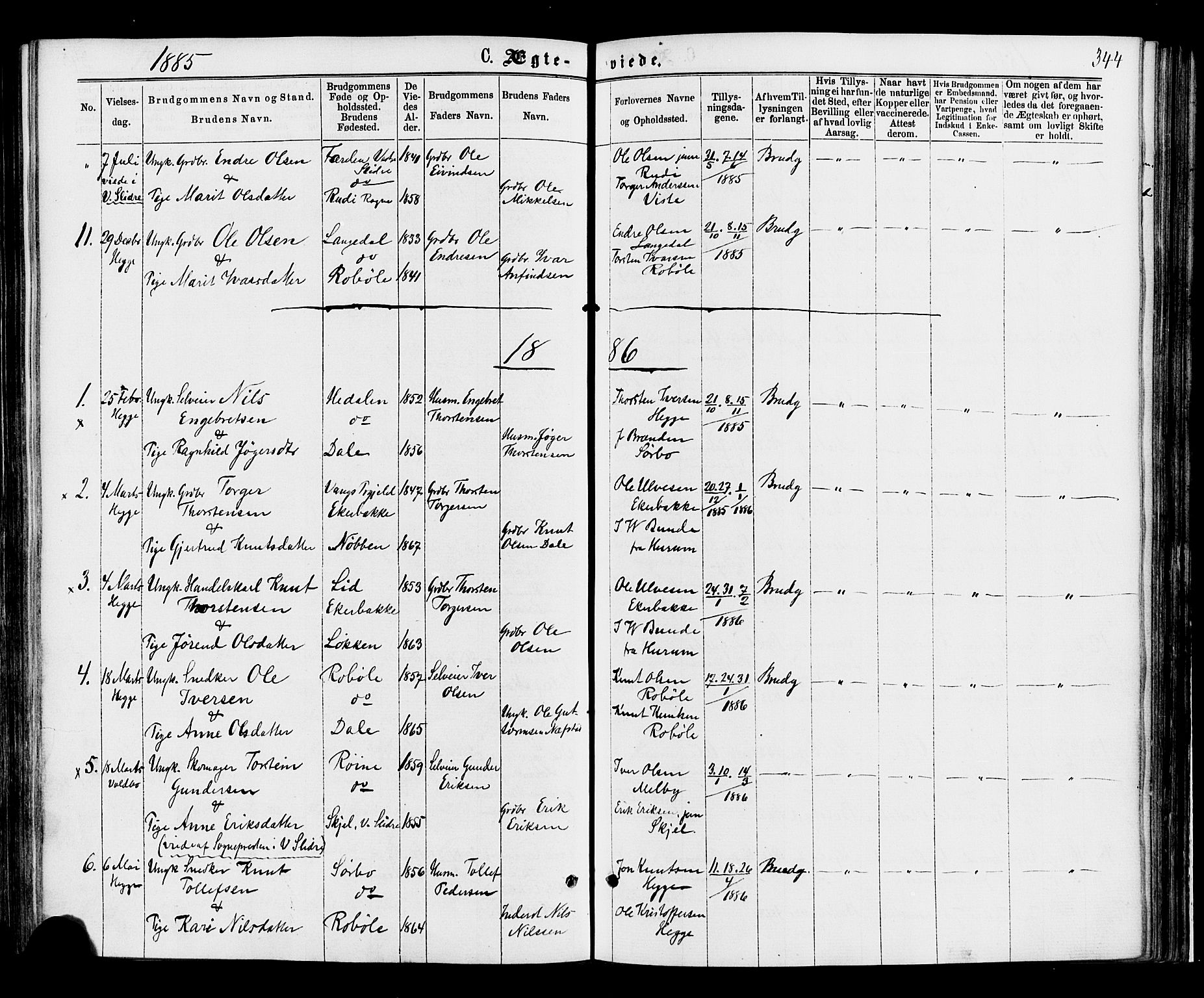 Øystre Slidre prestekontor, SAH/PREST-138/H/Ha/Haa/L0002: Ministerialbok nr. 2, 1874-1886, s. 344