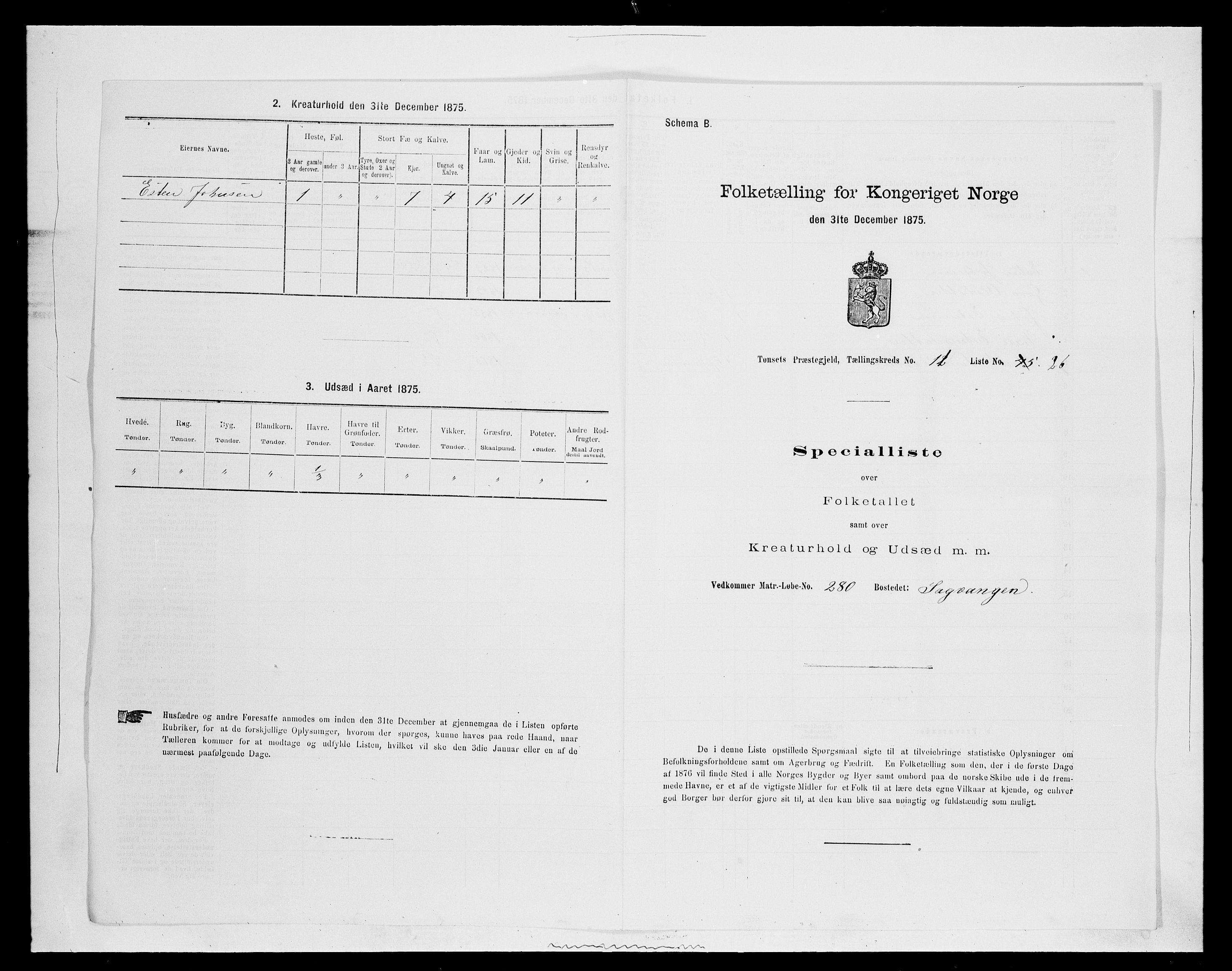 SAH, Folketelling 1875 for 0437P Tynset prestegjeld, 1875, s. 1047