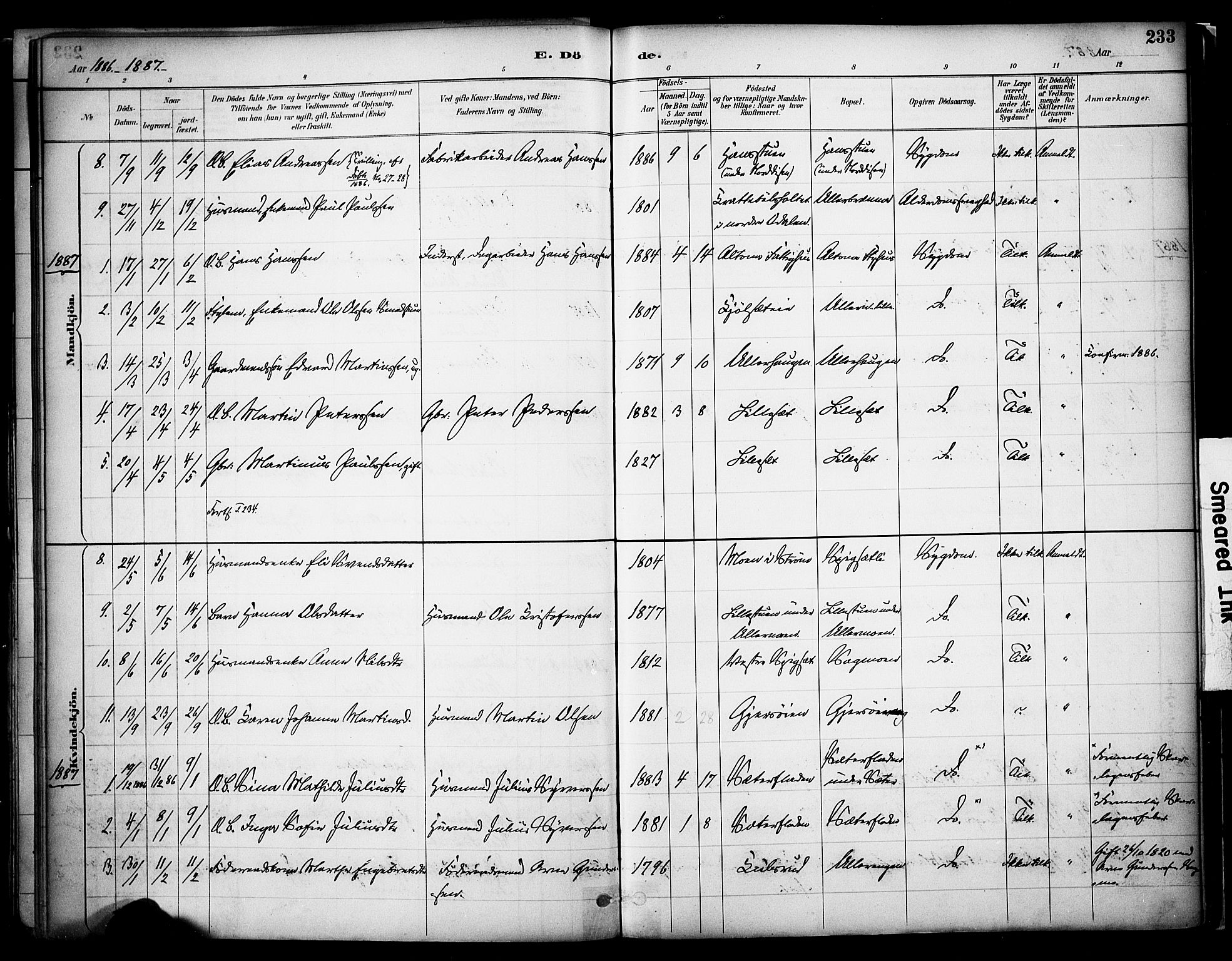 Sør-Odal prestekontor, SAH/PREST-030/H/Ha/Haa/L0008: Ministerialbok nr. 8, 1886-1922, s. 233