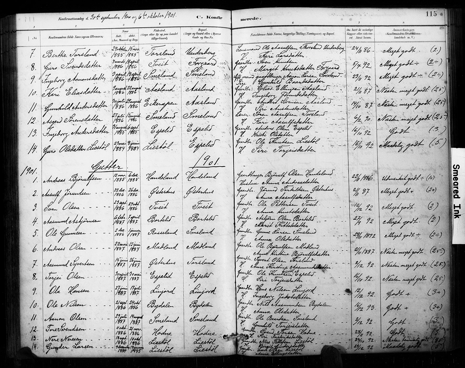 Åseral sokneprestkontor, AV/SAK-1111-0051/F/Fa/L0003: Ministerialbok nr. A 3, 1884-1901, s. 115
