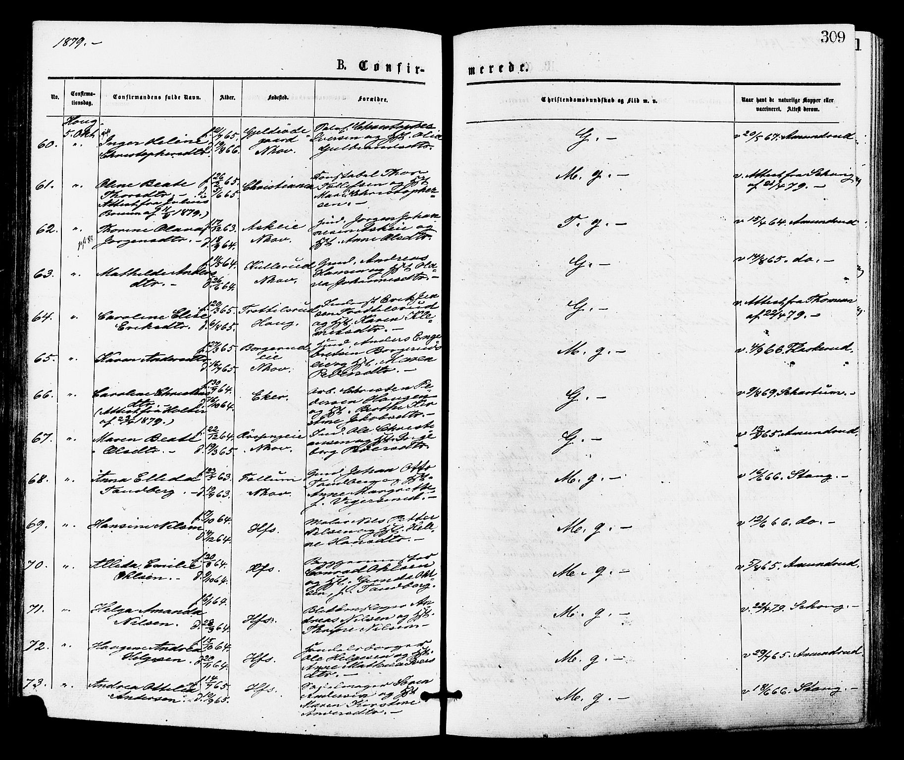 Norderhov kirkebøker, AV/SAKO-A-237/F/Fa/L0015: Ministerialbok nr. 15, 1875-1884, s. 309