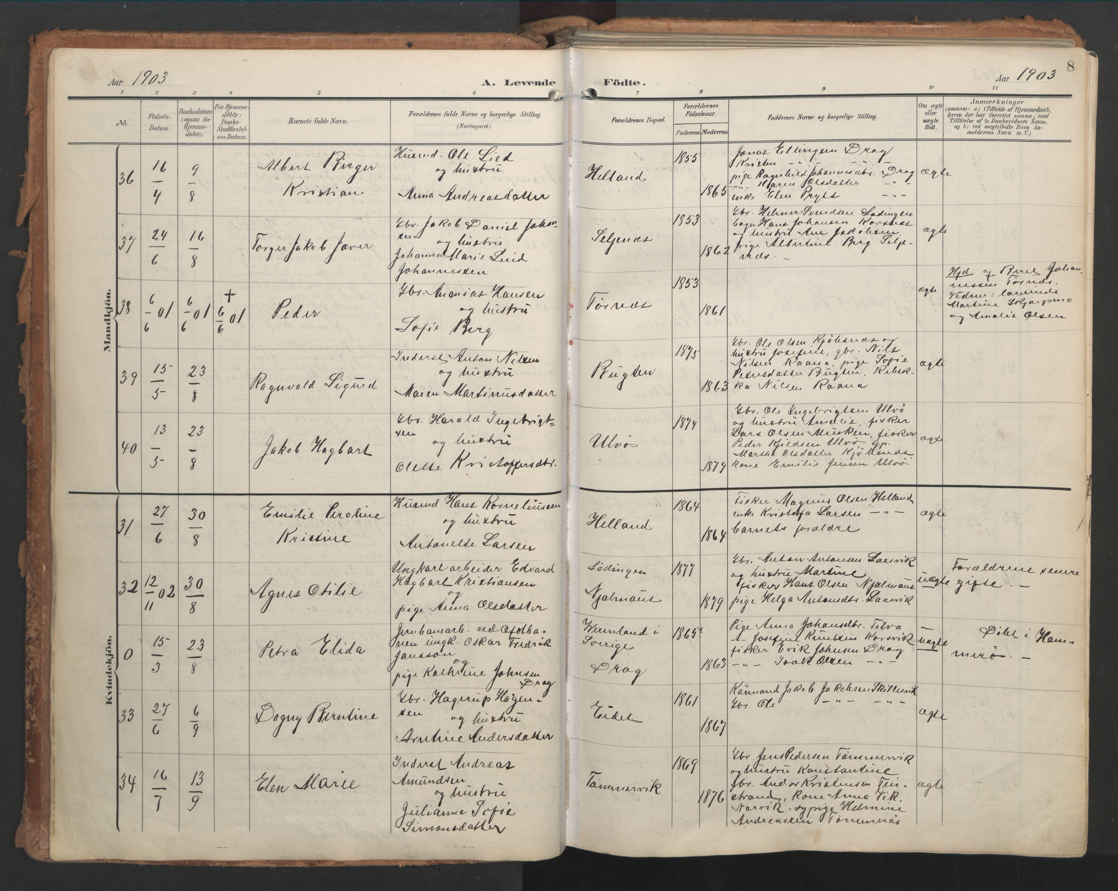 Ministerialprotokoller, klokkerbøker og fødselsregistre - Nordland, AV/SAT-A-1459/861/L0871: Ministerialbok nr. 861A06, 1903-1916, s. 8