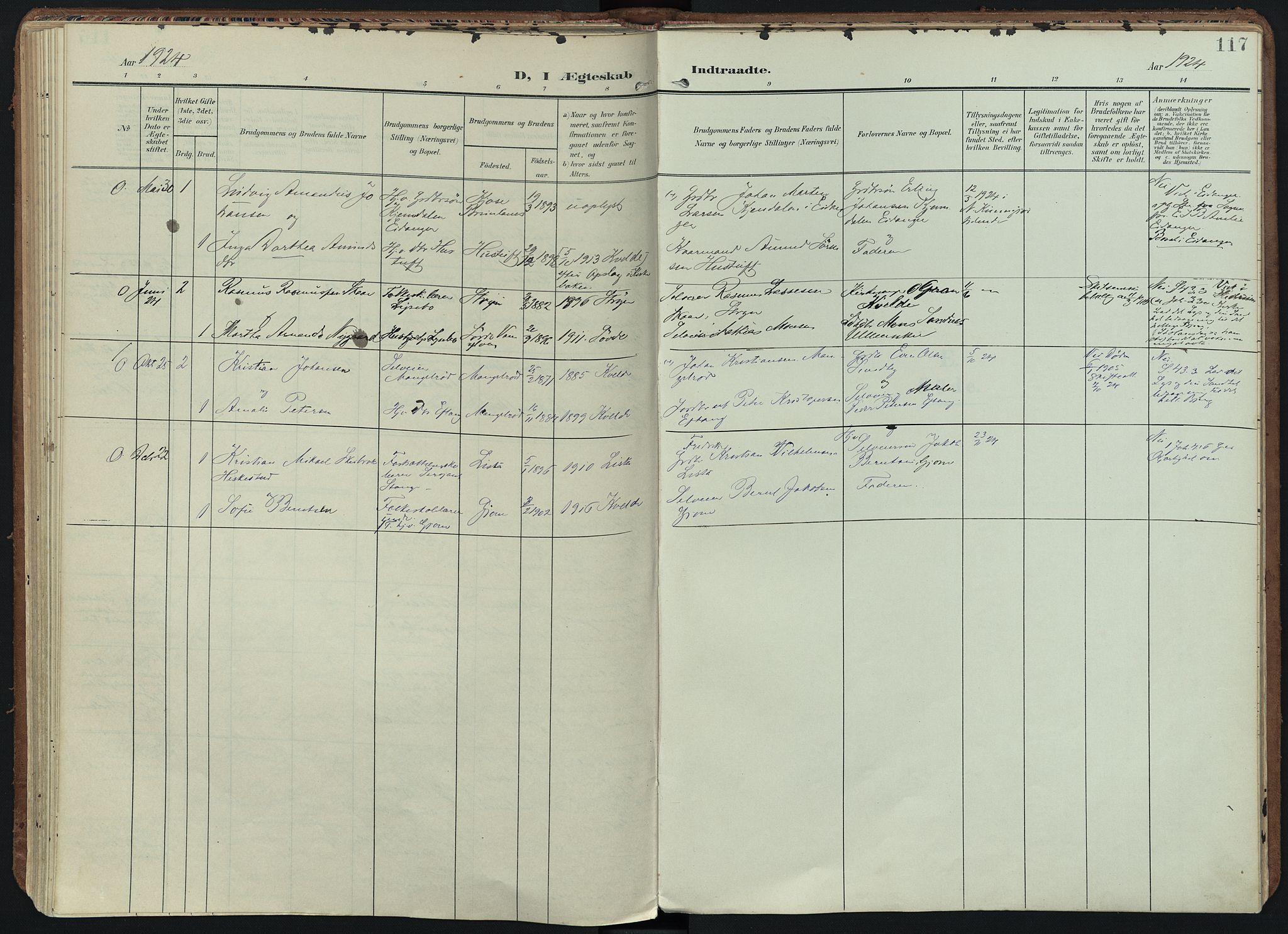Hedrum kirkebøker, AV/SAKO-A-344/F/Fb/L0002: Ministerialbok nr. II 2, 1906-1924, s. 117