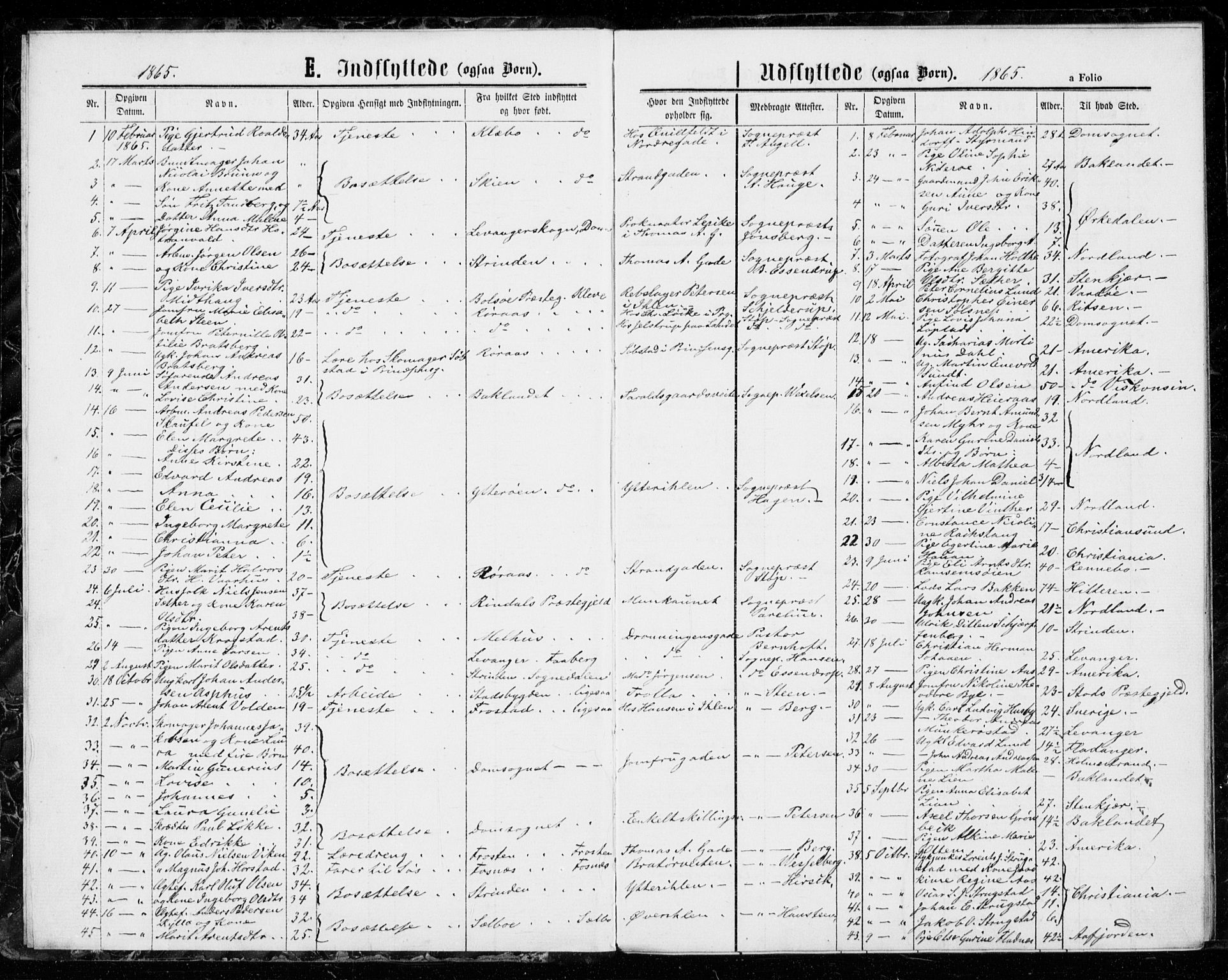 Ministerialprotokoller, klokkerbøker og fødselsregistre - Sør-Trøndelag, AV/SAT-A-1456/602/L0116: Ministerialbok nr. 602A14, 1865-1879