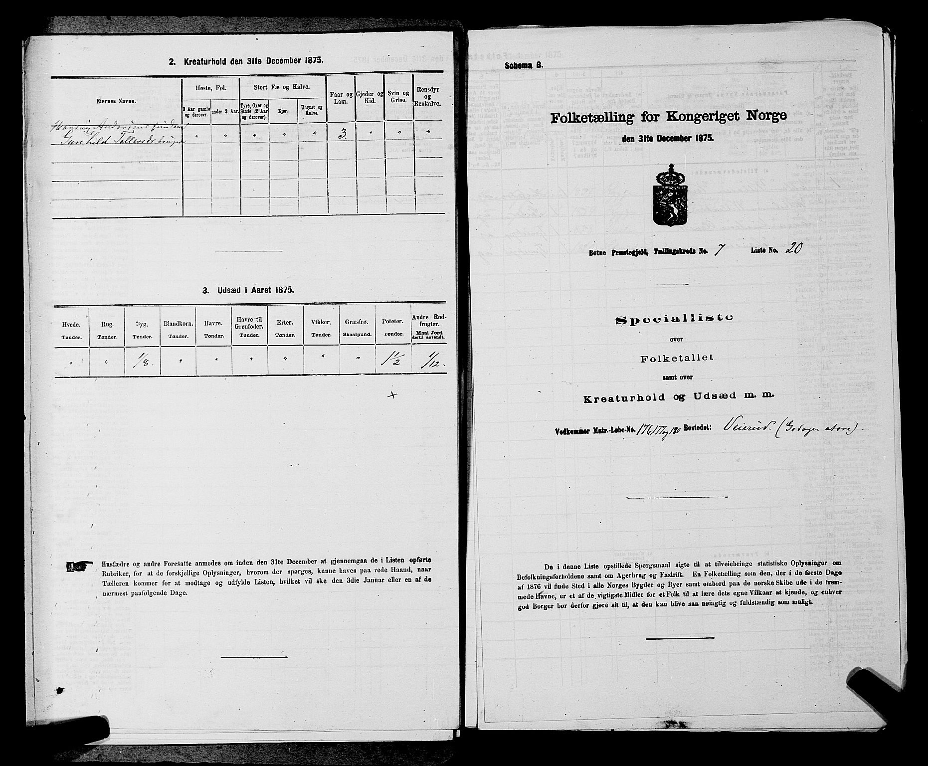 SAKO, Folketelling 1875 for 0715P Botne prestegjeld, 1875, s. 618