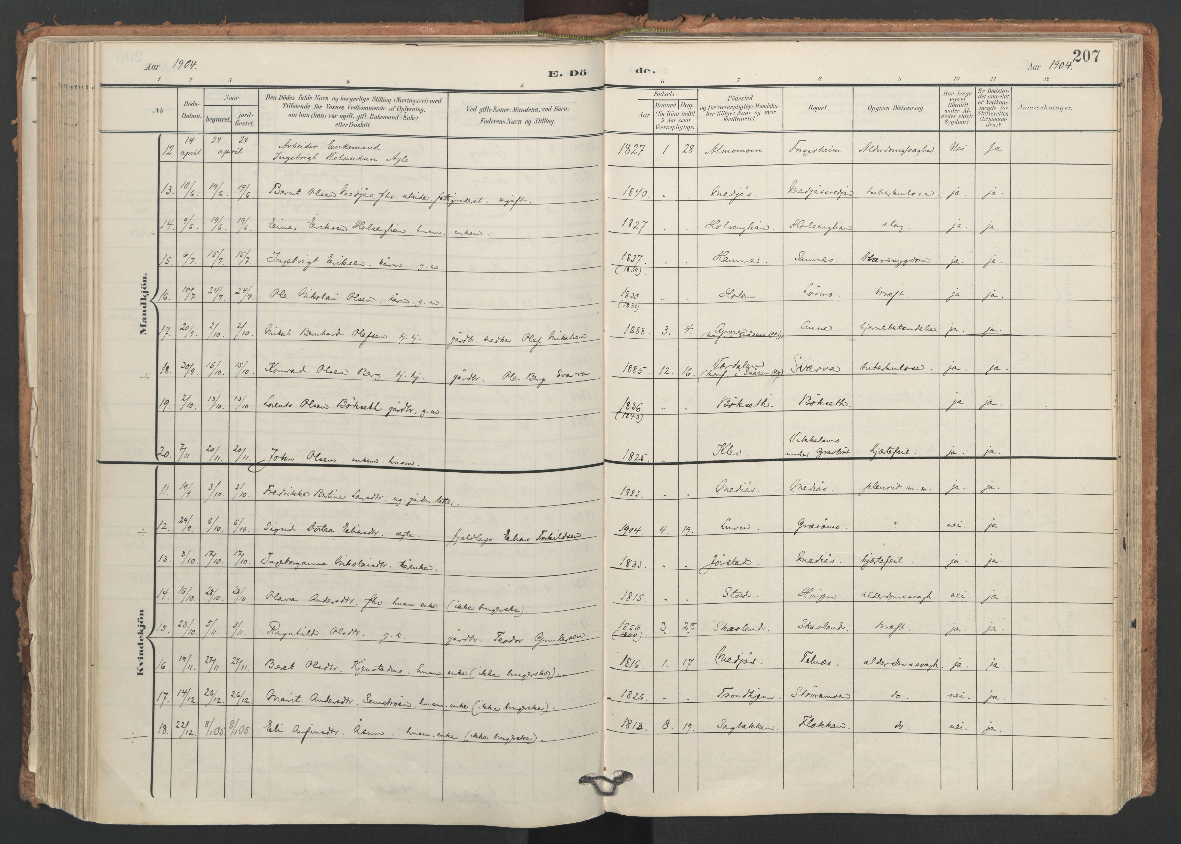 Ministerialprotokoller, klokkerbøker og fødselsregistre - Nord-Trøndelag, AV/SAT-A-1458/749/L0477: Ministerialbok nr. 749A11, 1902-1927, s. 207