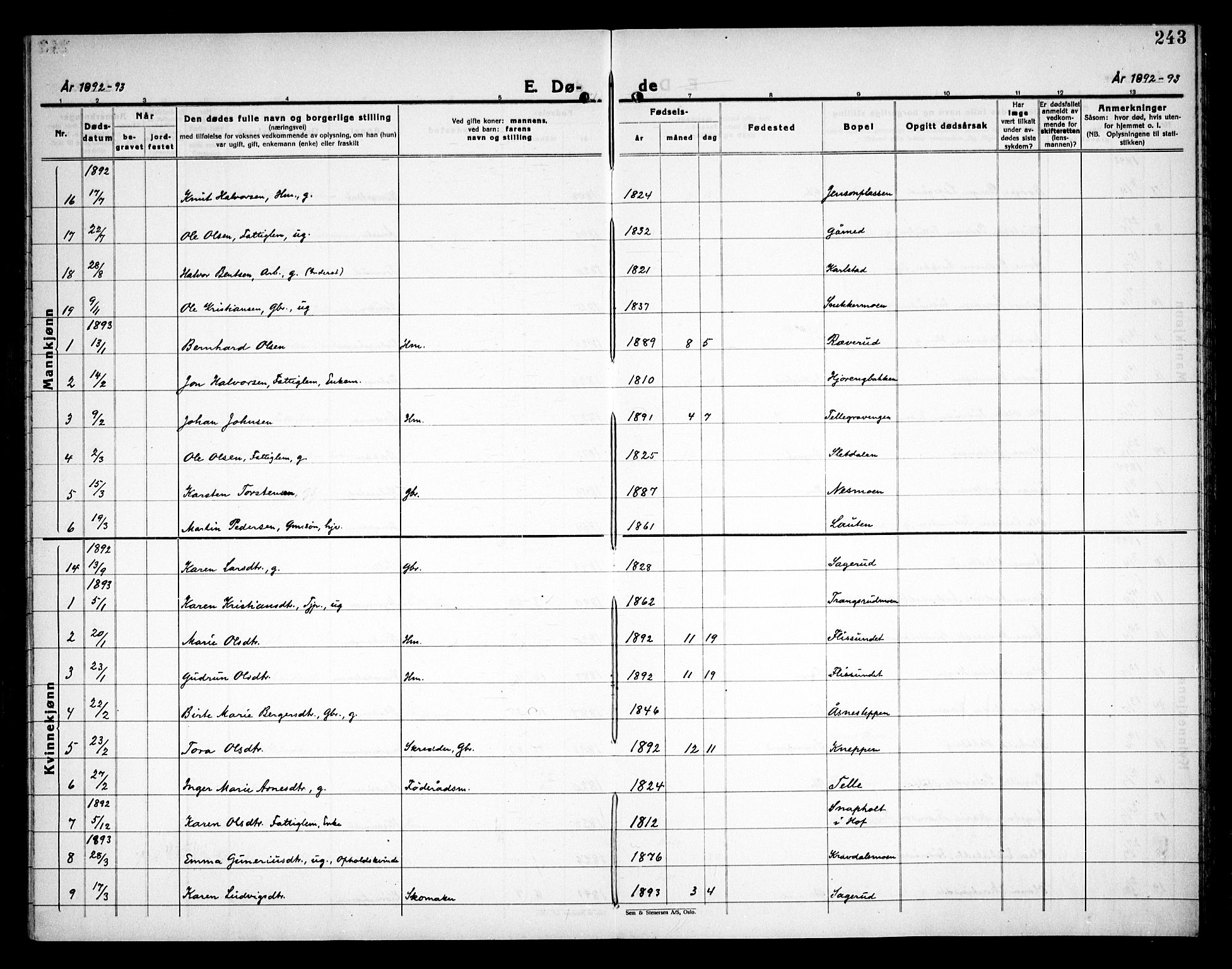 Åsnes prestekontor, AV/SAH-PREST-042/H/Ha/Haa/L0000C: Ministerialbok nr. 0A, 1890-1929, s. 243