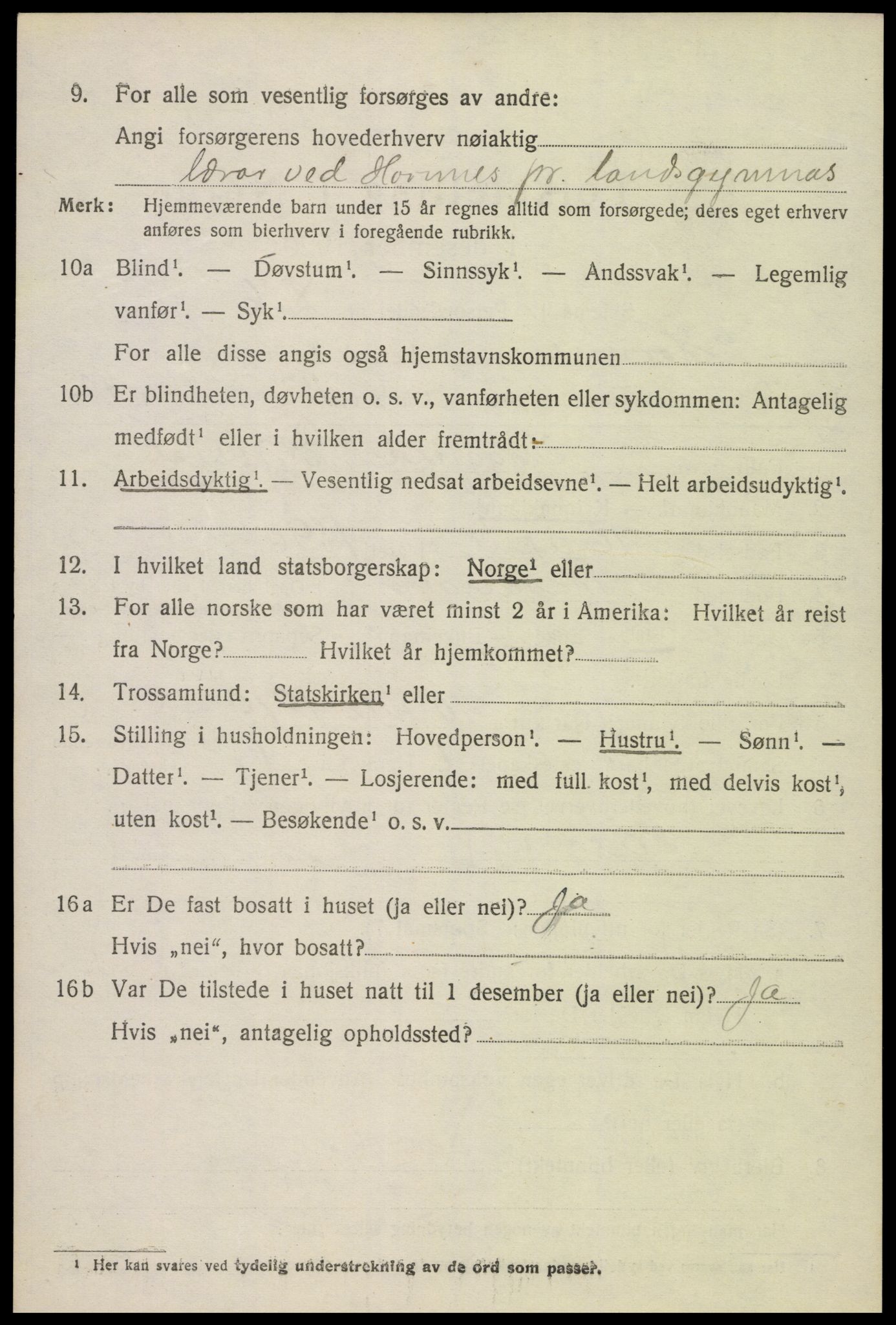 SAK, Folketelling 1920 for 0936 Hornnes herred, 1920, s. 2186